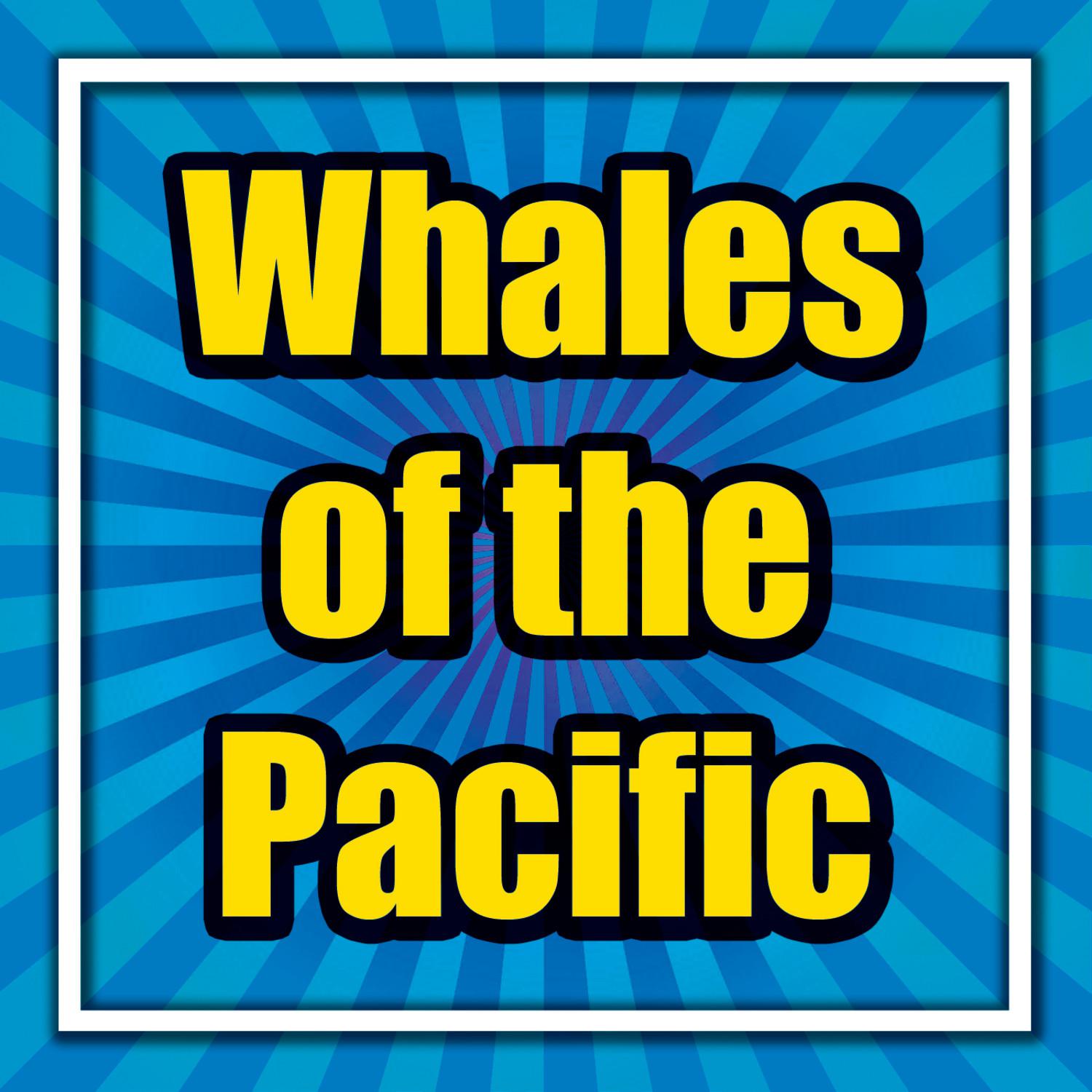 Whales of the Pacific