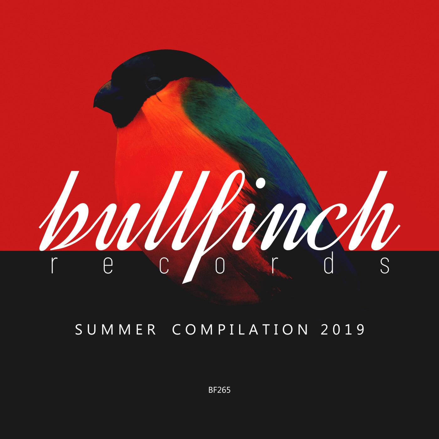 Bullfinch Summer 2019 Compilation