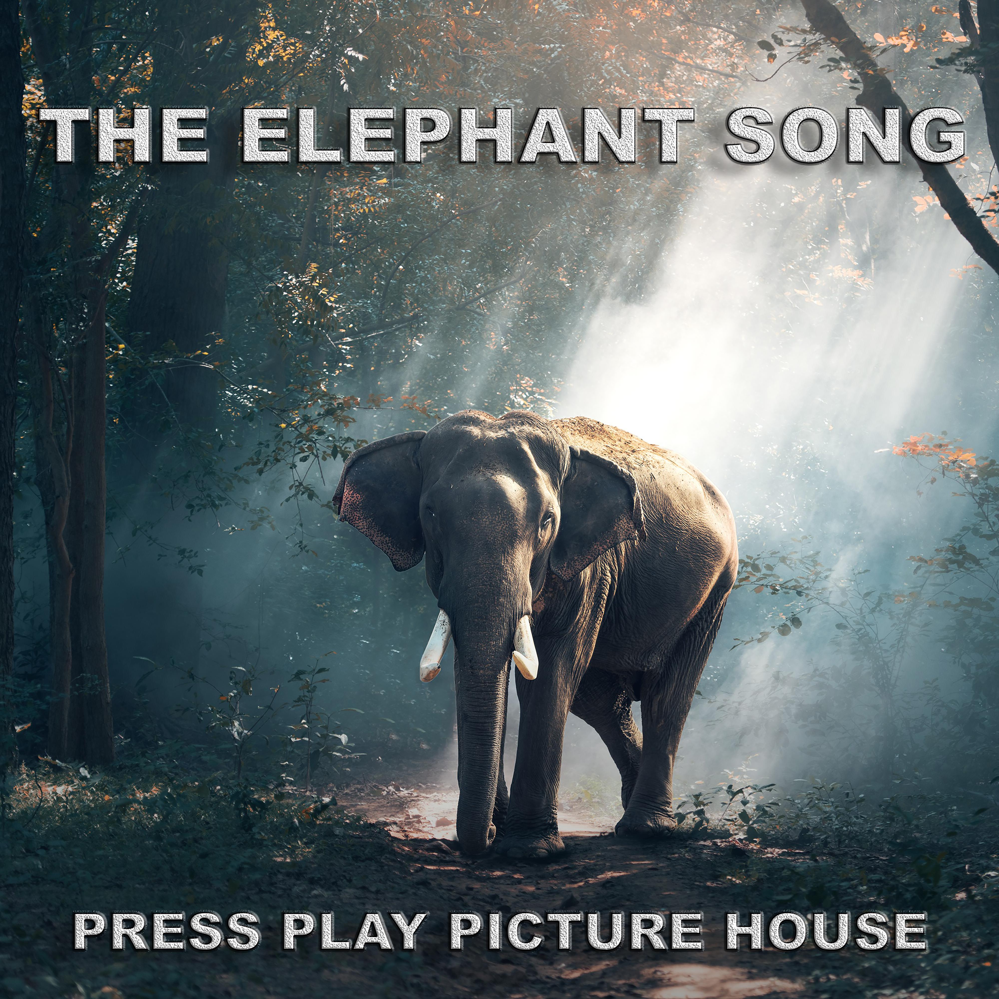 The Elephant Song