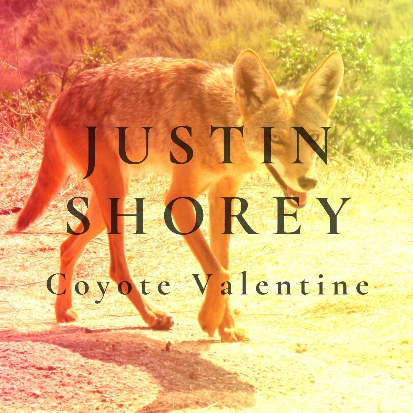 Coyote Valentine