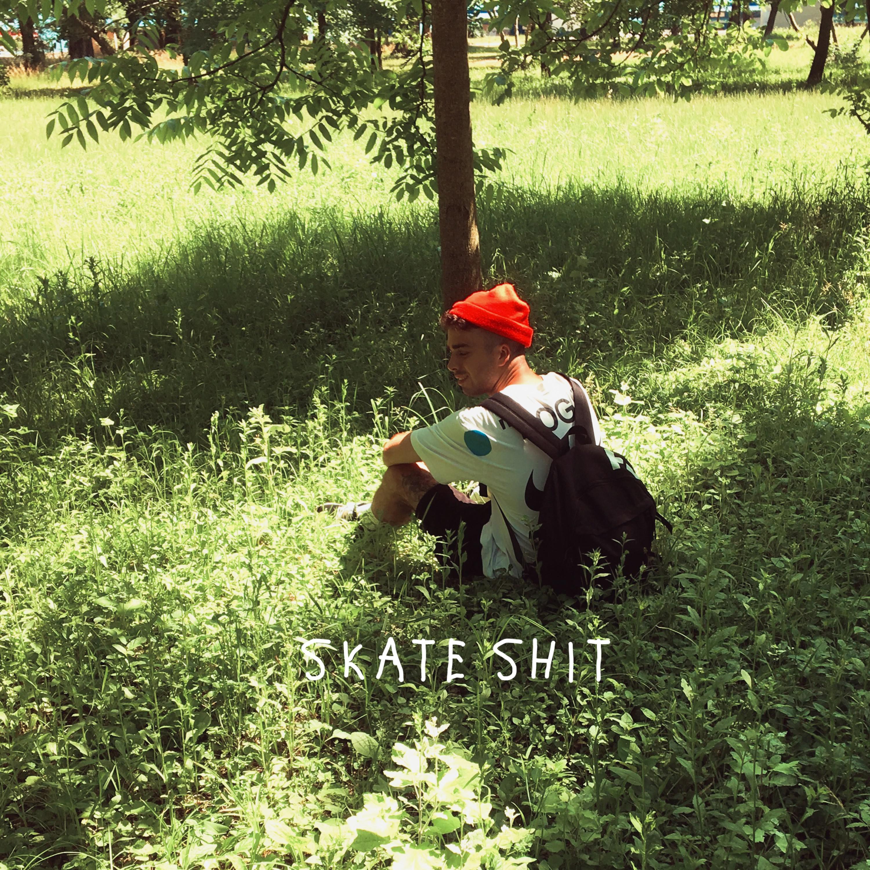 Skate ****