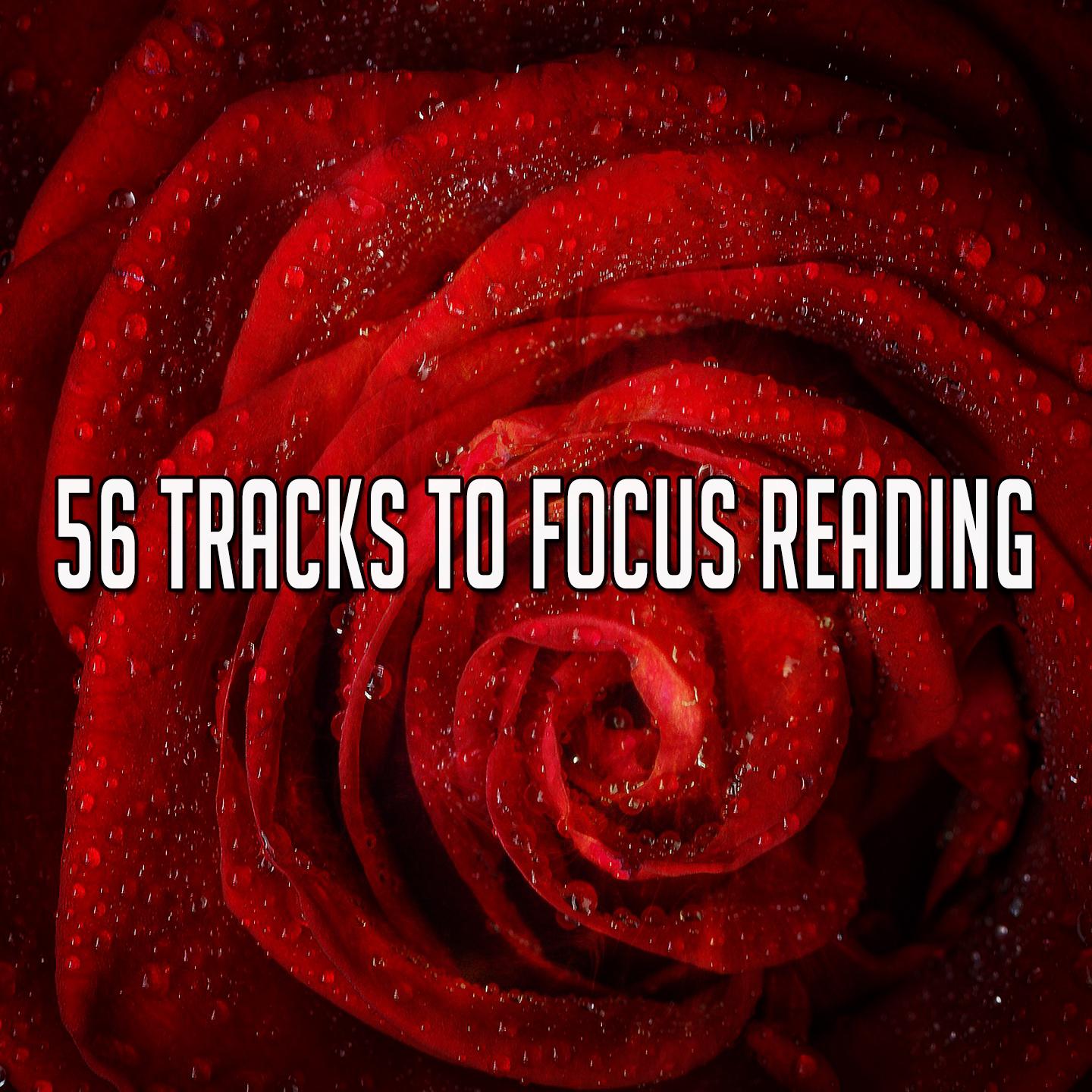 56 Tracks to Focus Reading
