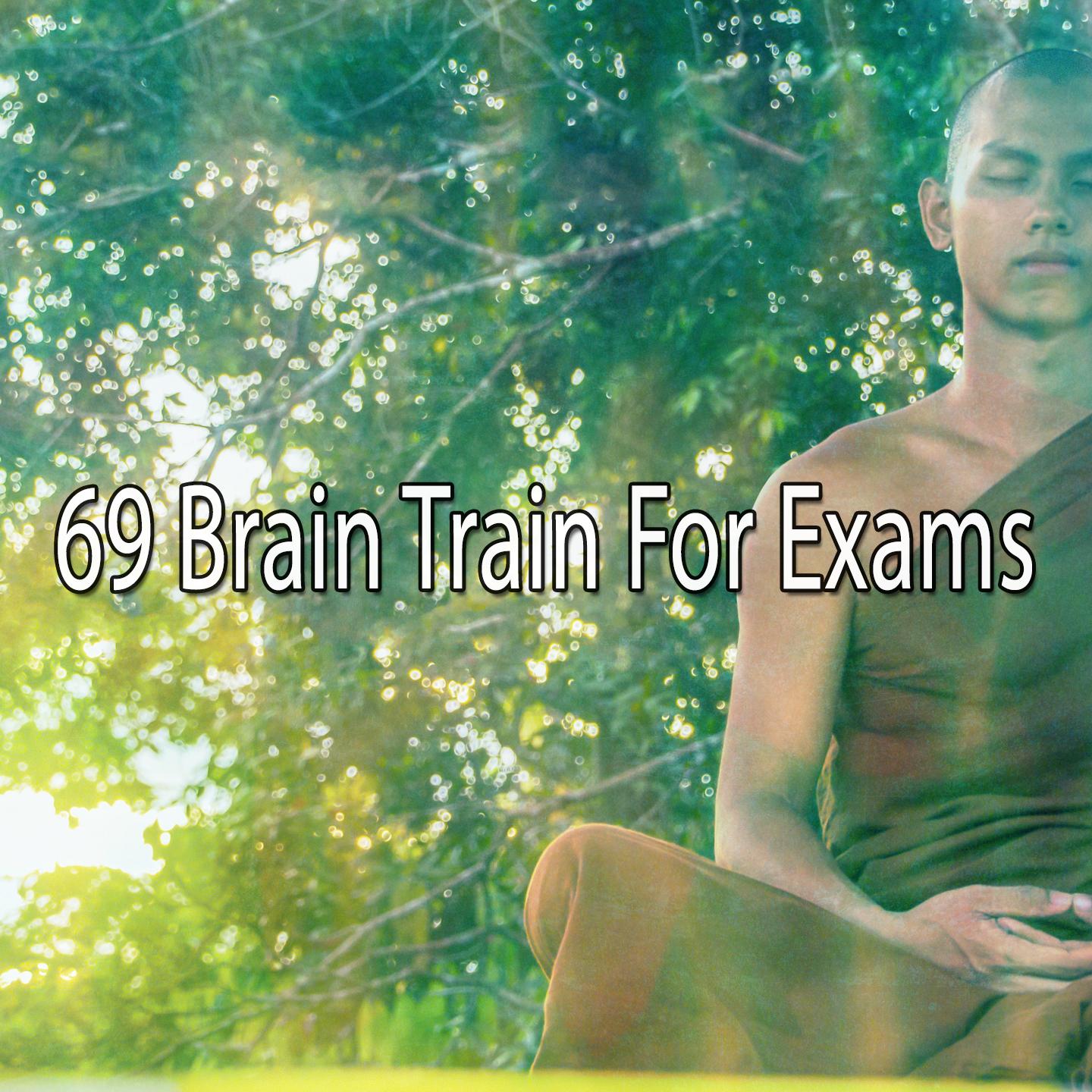 69 Brain Train for Exams