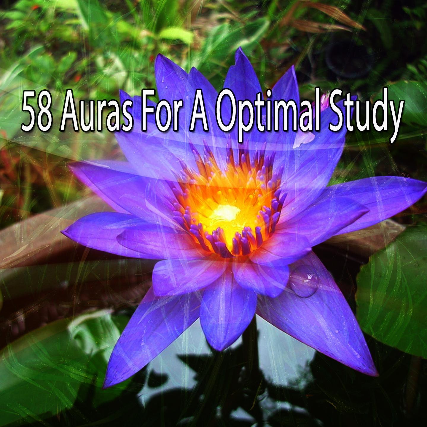 58 Auras for a Optimal Study