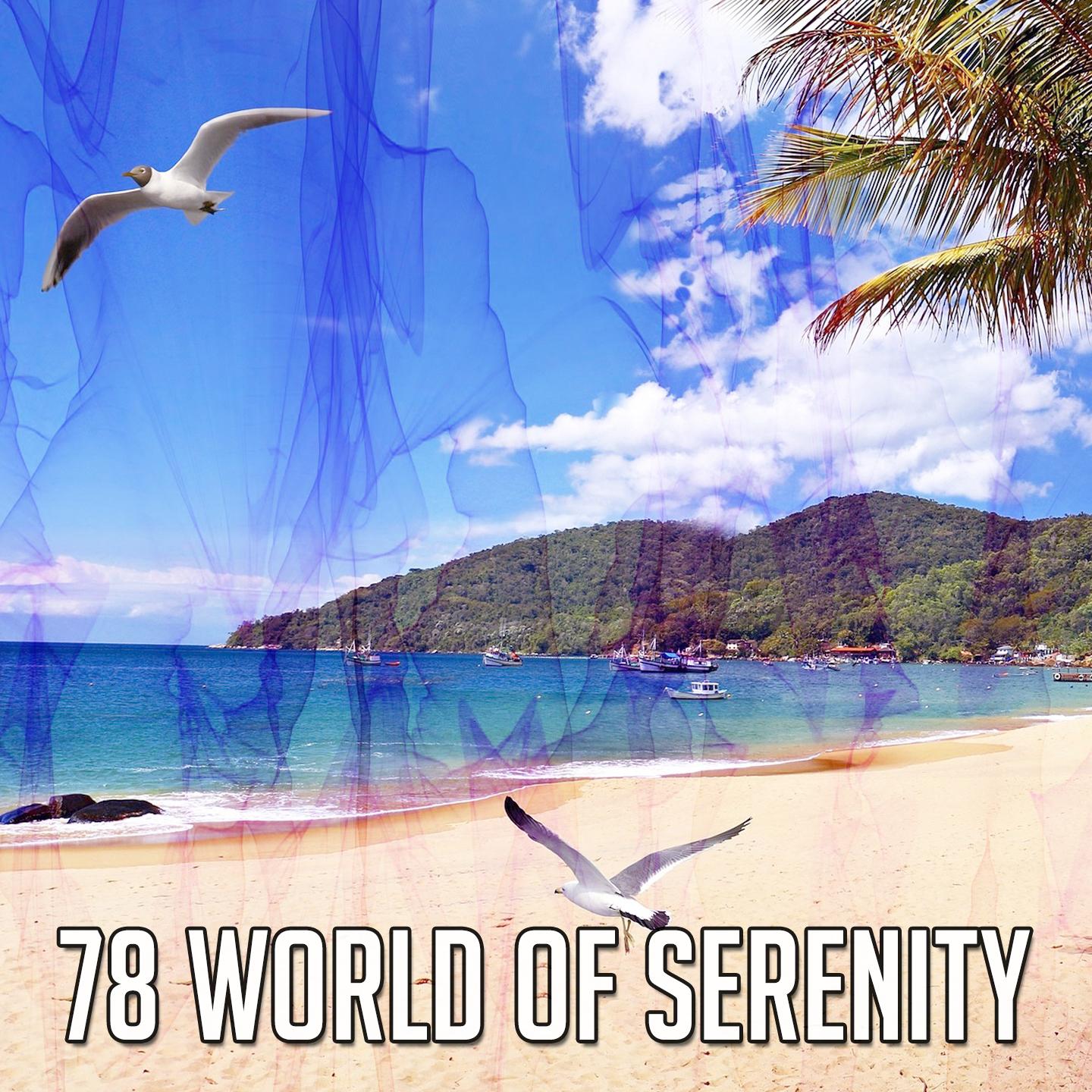 78 World of Serenity