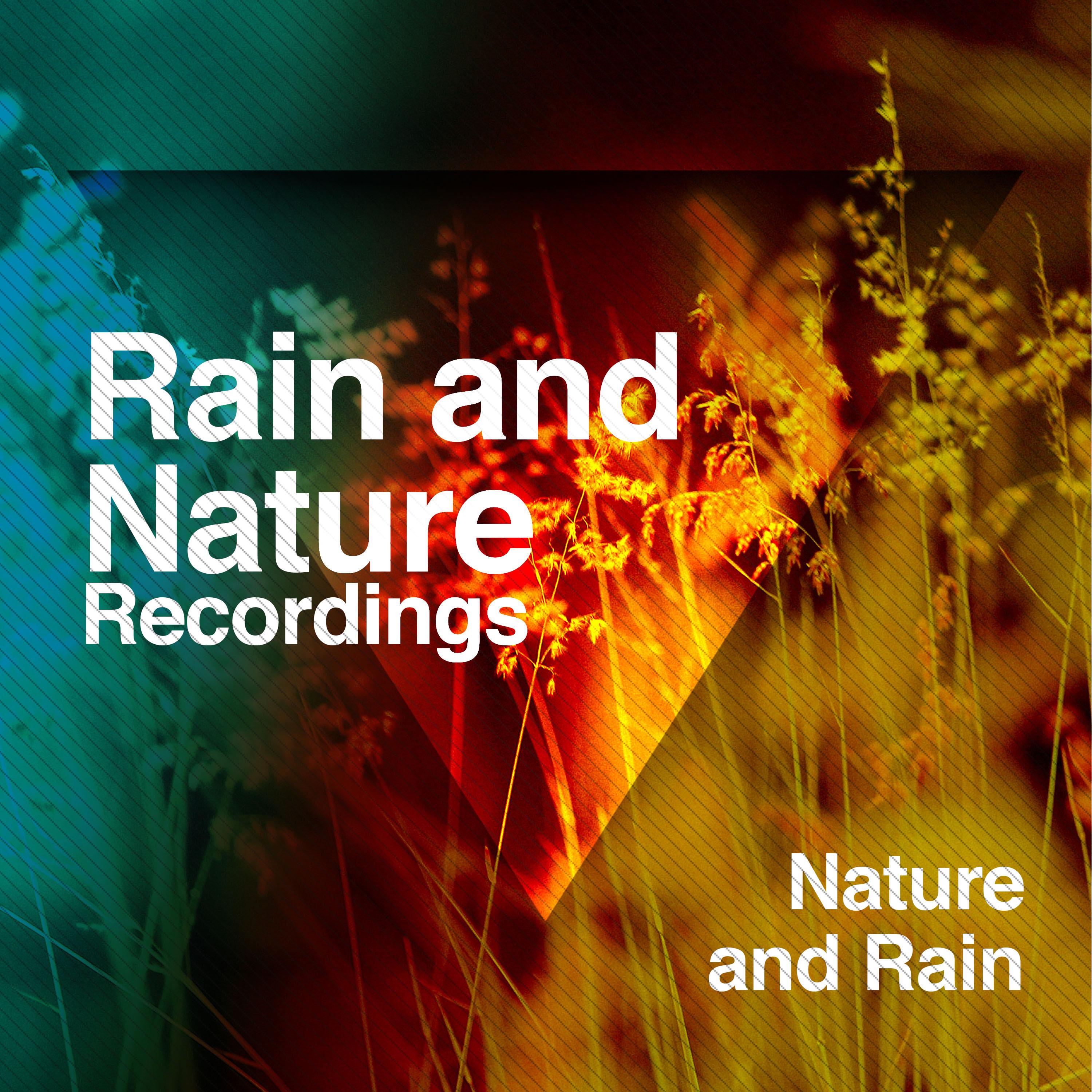 Rain and Nature Recordings
