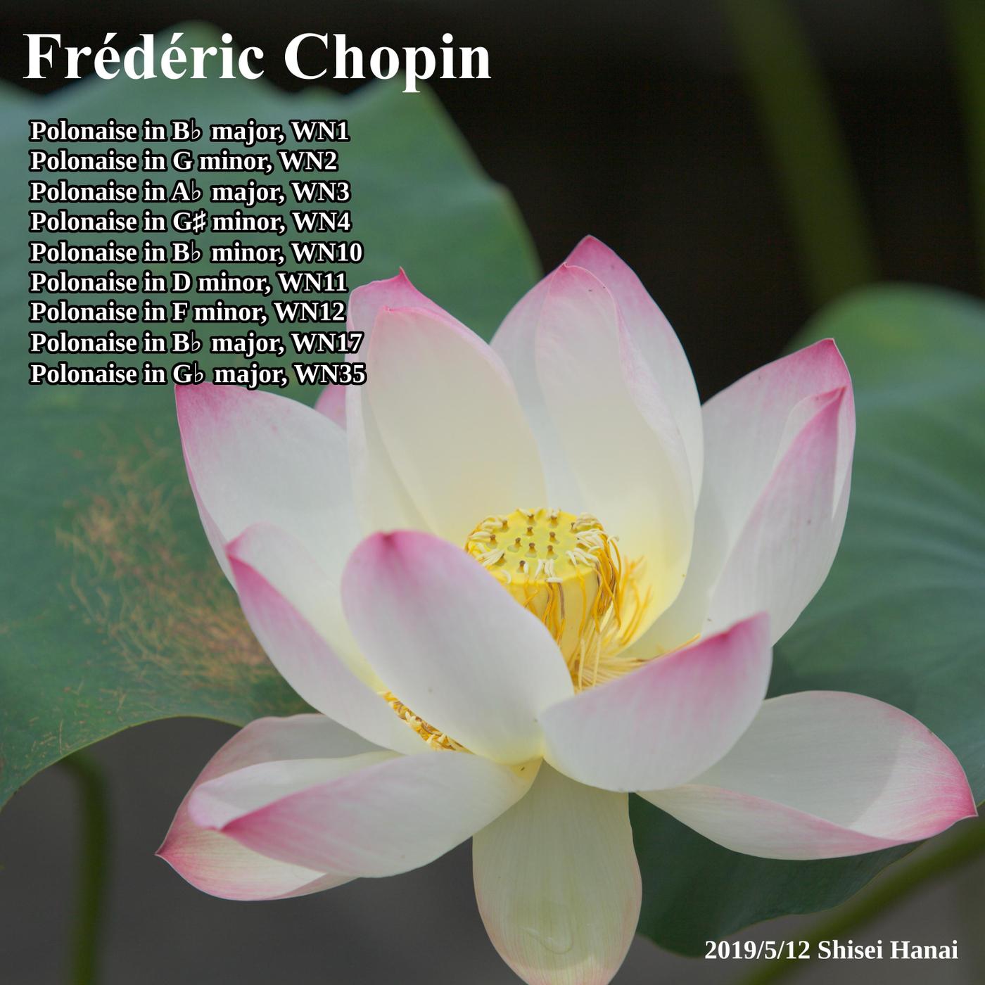 Chopin Polonaise, Vol. 2