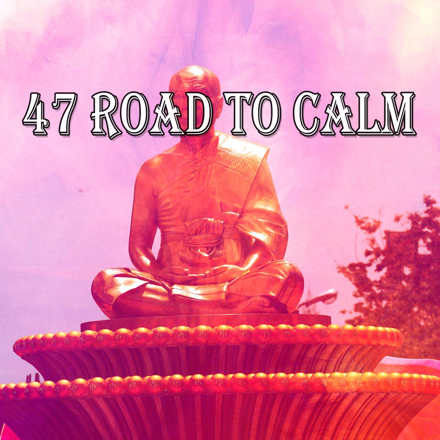 47 Road to Calm