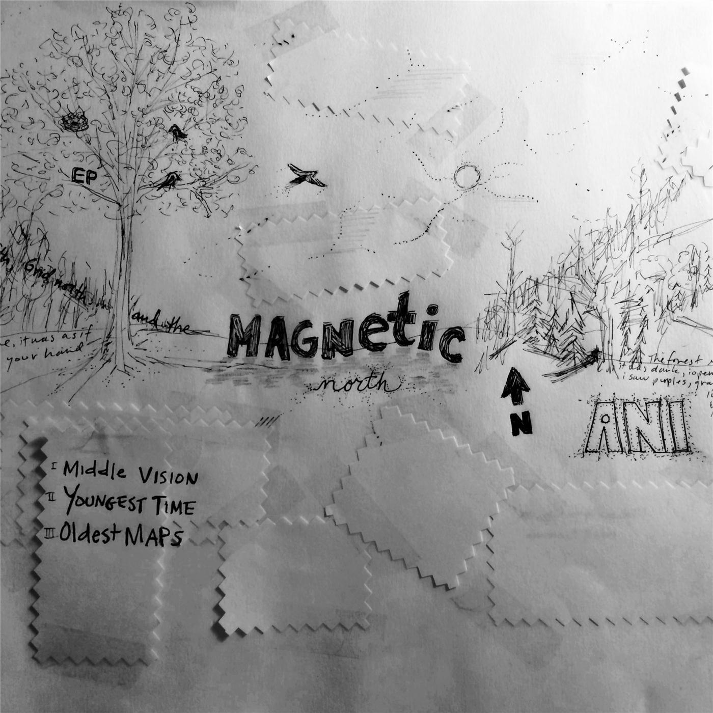 Magnetic North