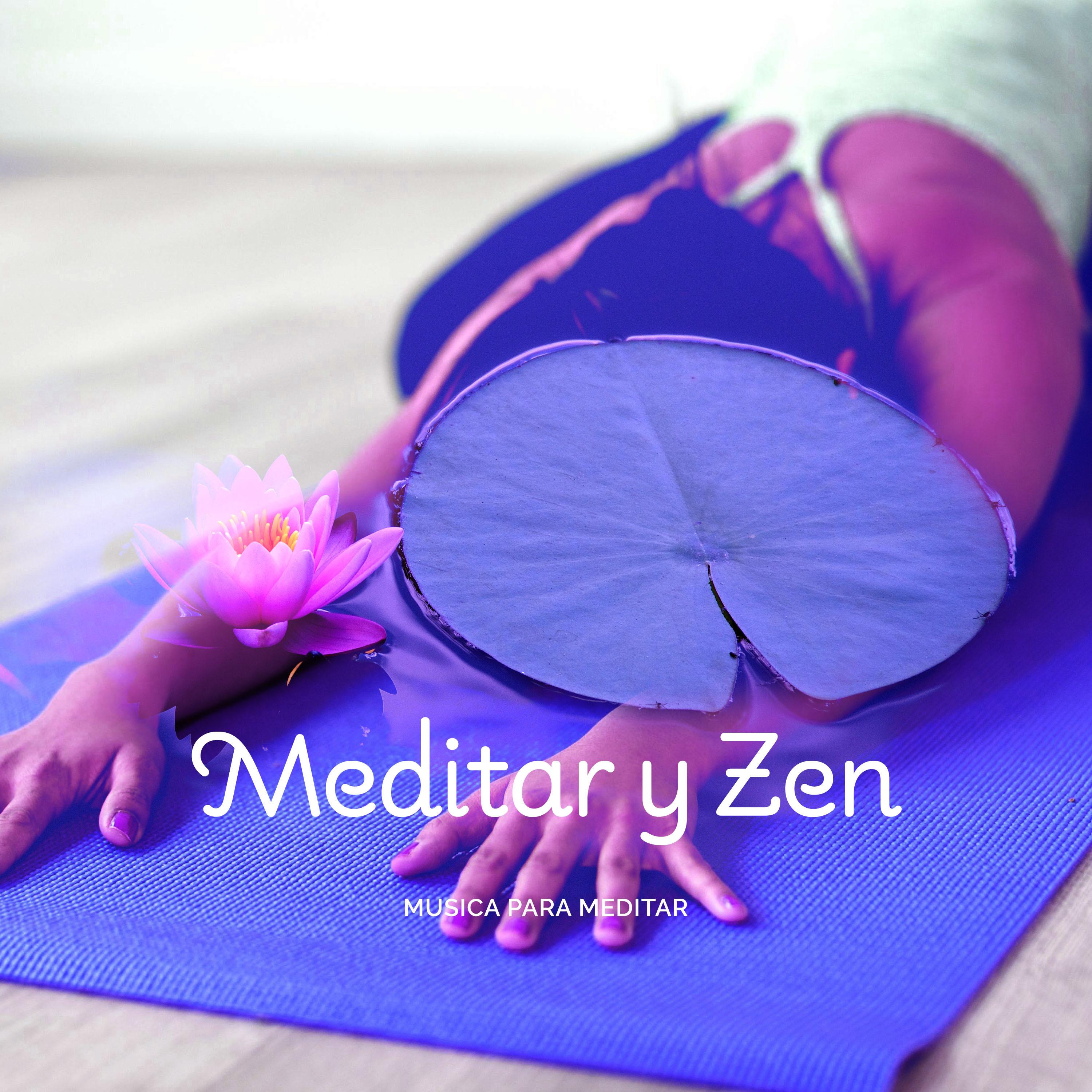 Meditar y zen
