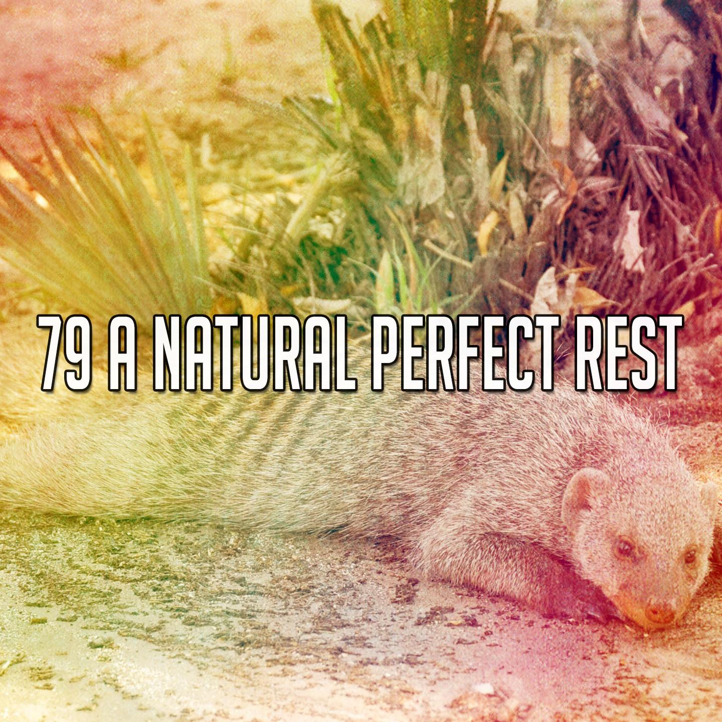 79 A Natural Perfect Rest