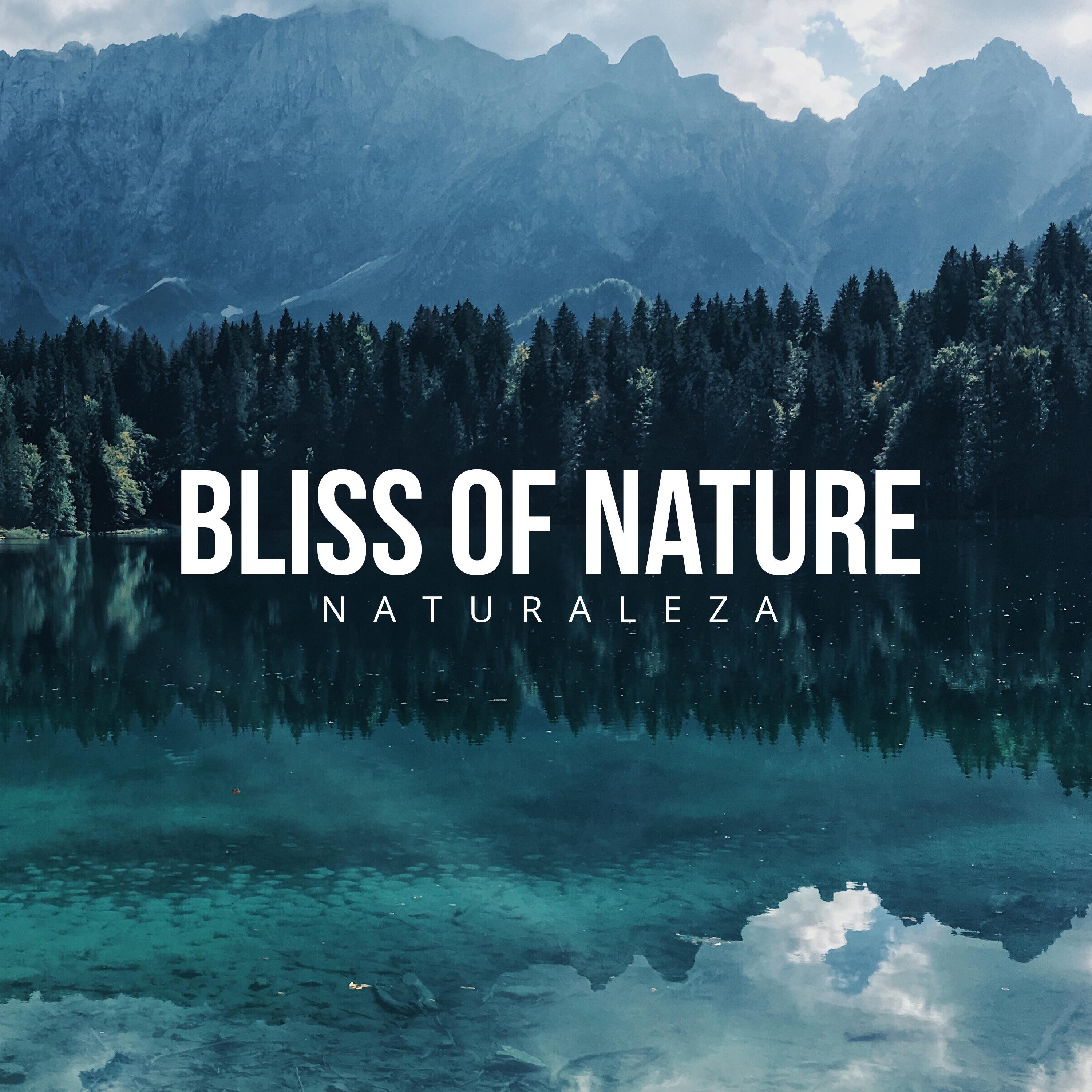 Bliss of Nature