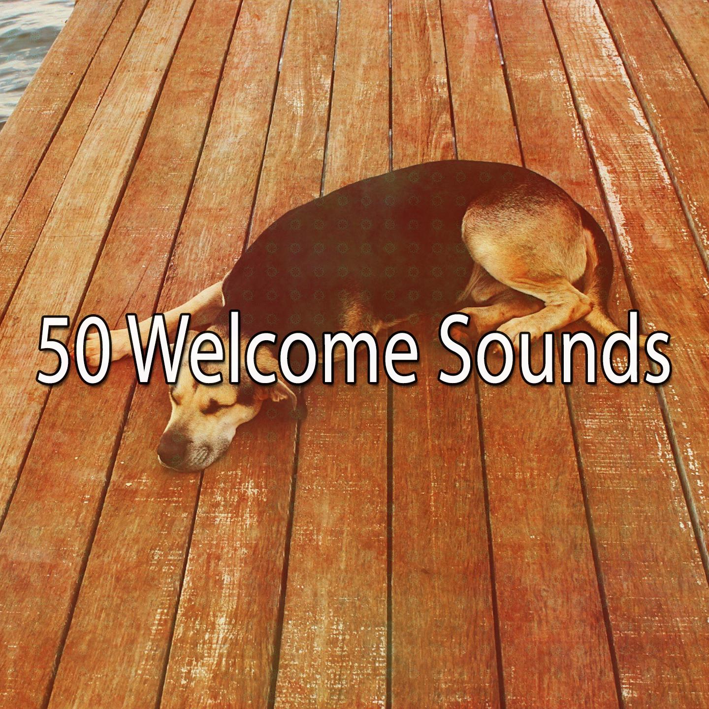 50 Welcome Sounds