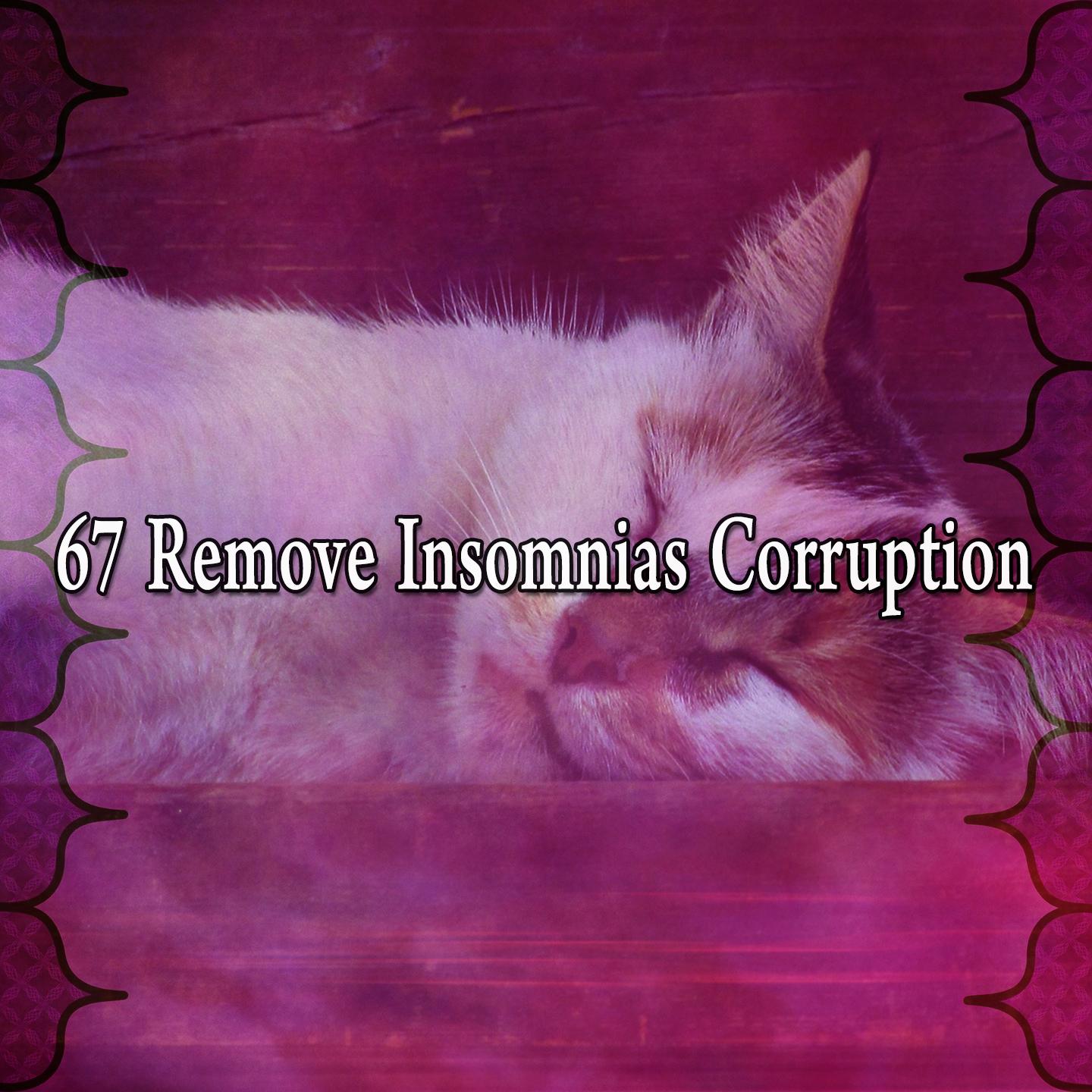 67 Remove Insomnias Corruption