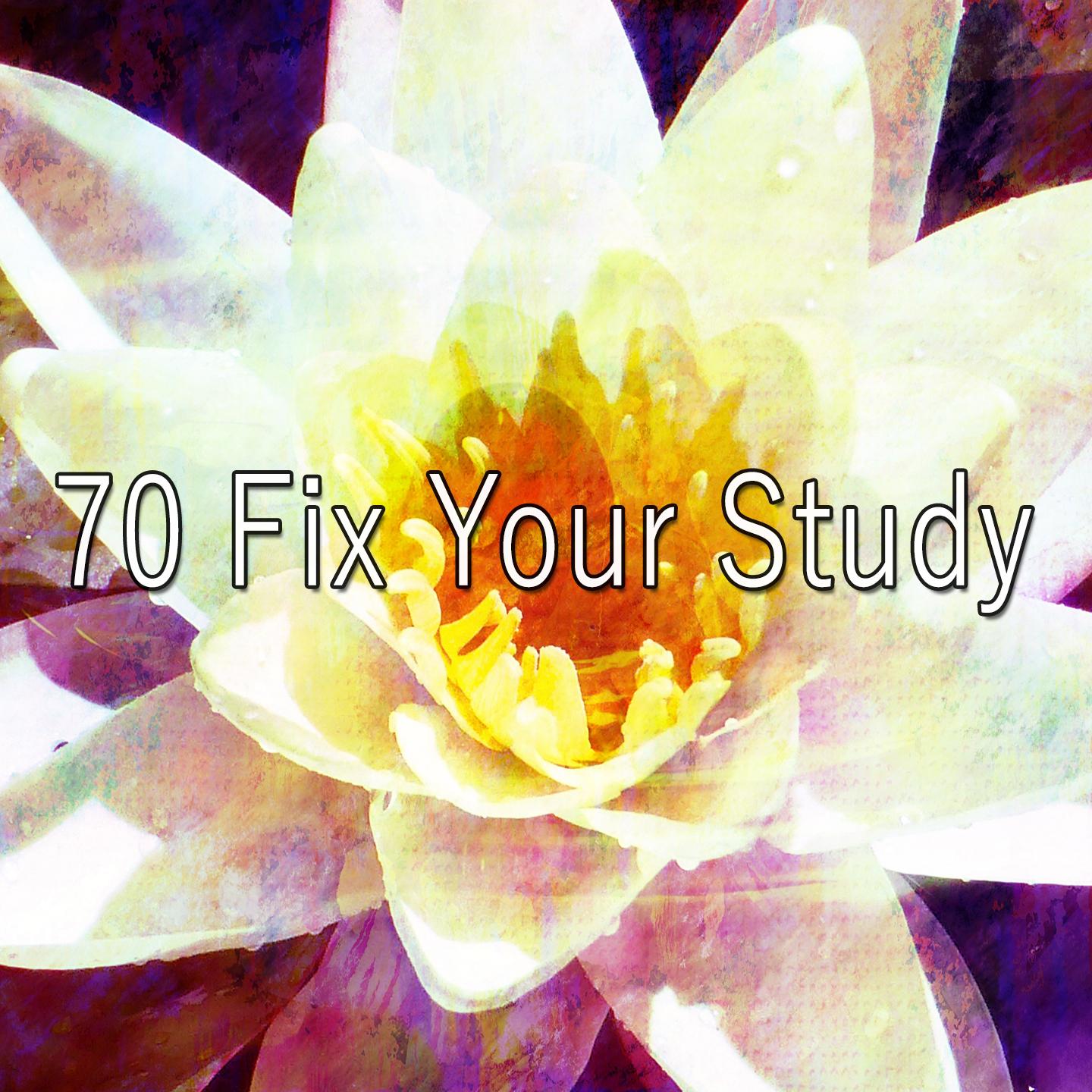 70 Fix Your Study