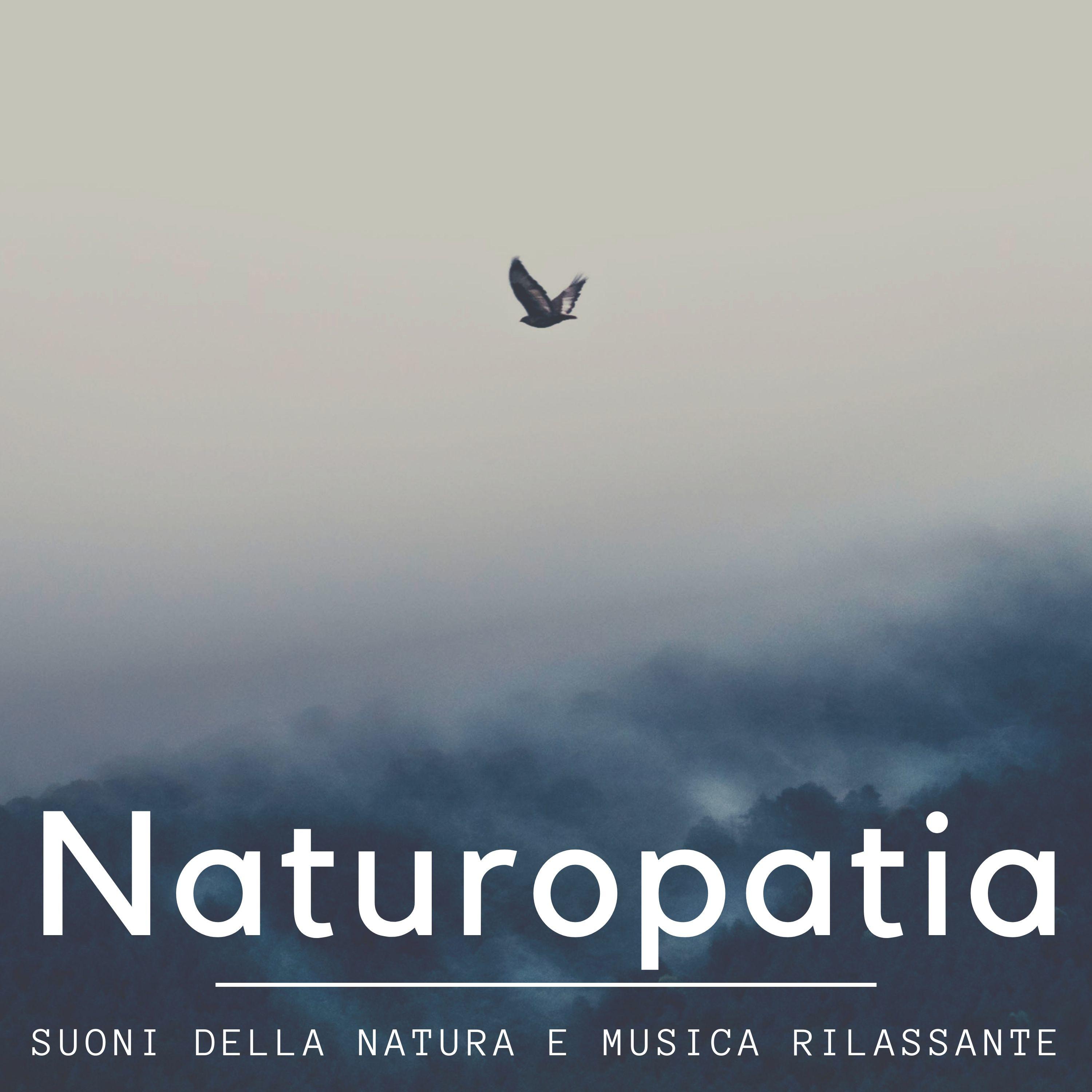 Naturopatia - Suoni della natura e musica rilassante New Age per raggiungere la pace interiore