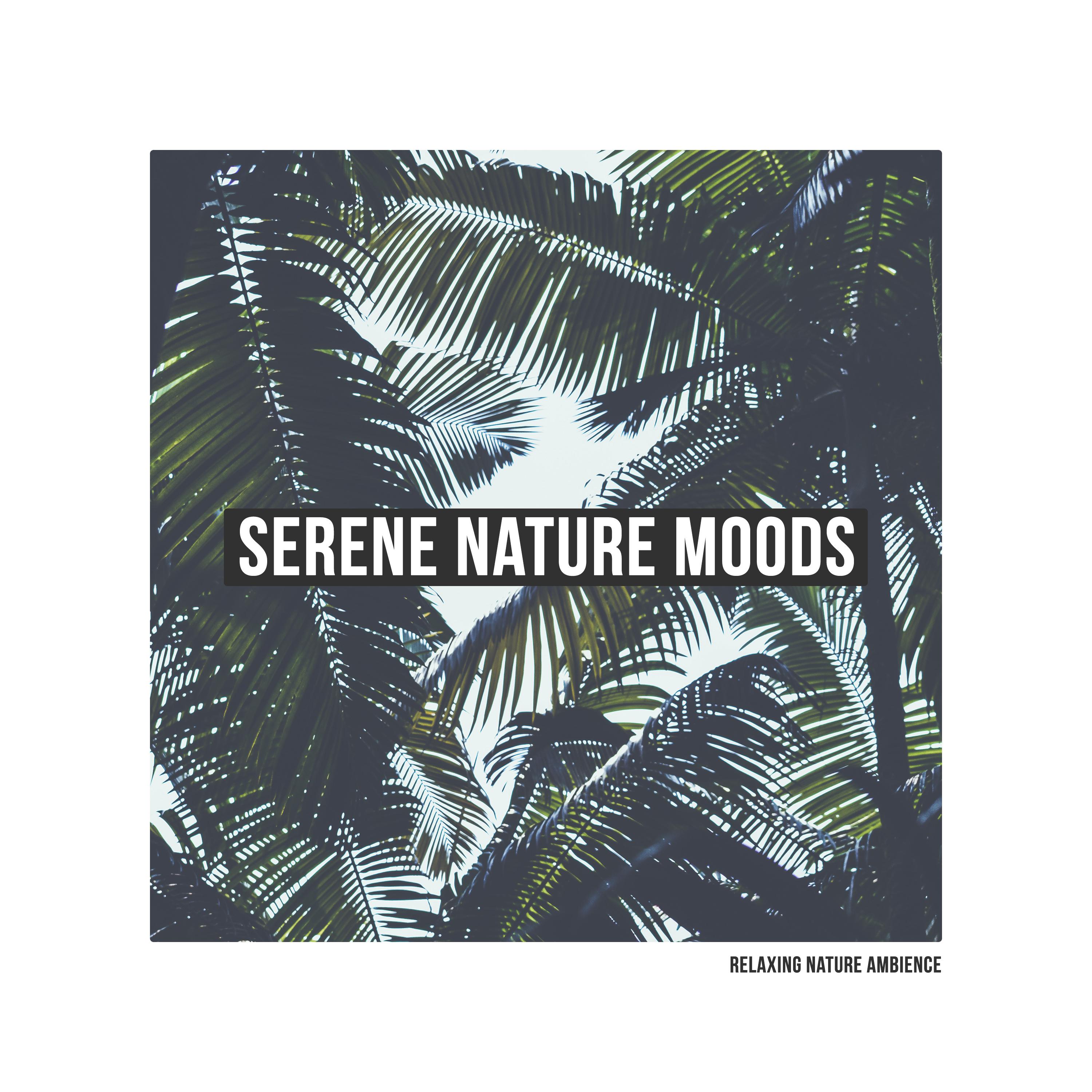 Serene Nature Moods