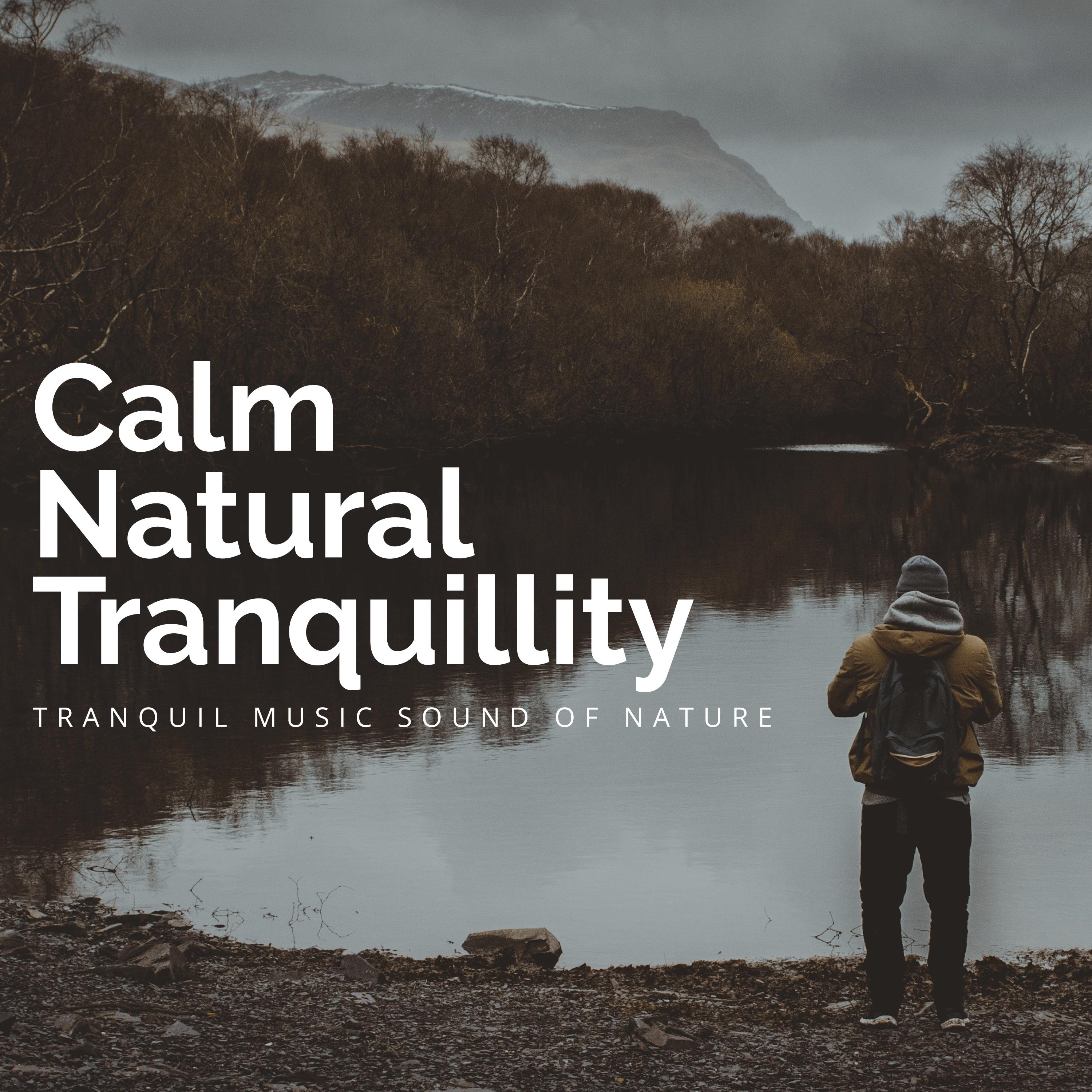 Calm Natural Tranquillity