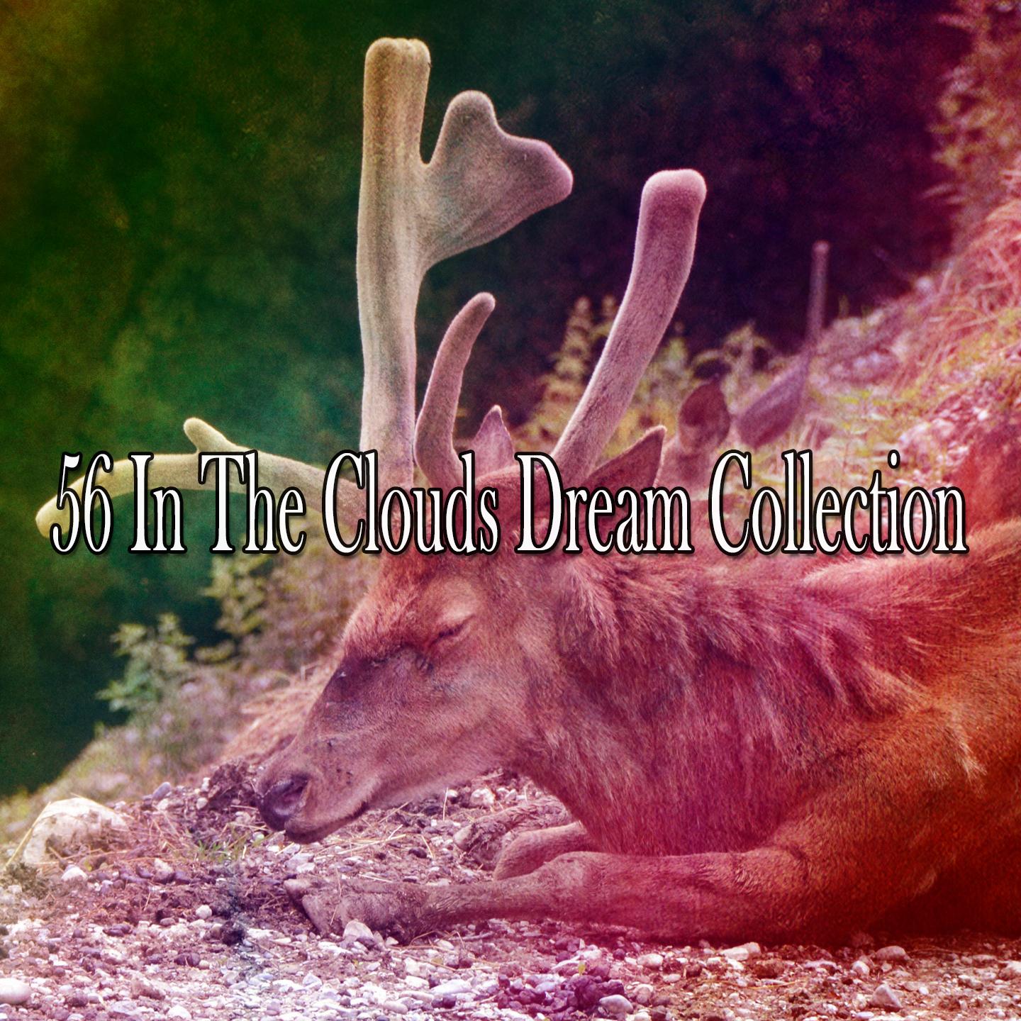 56 In the Clouds Dream Collection