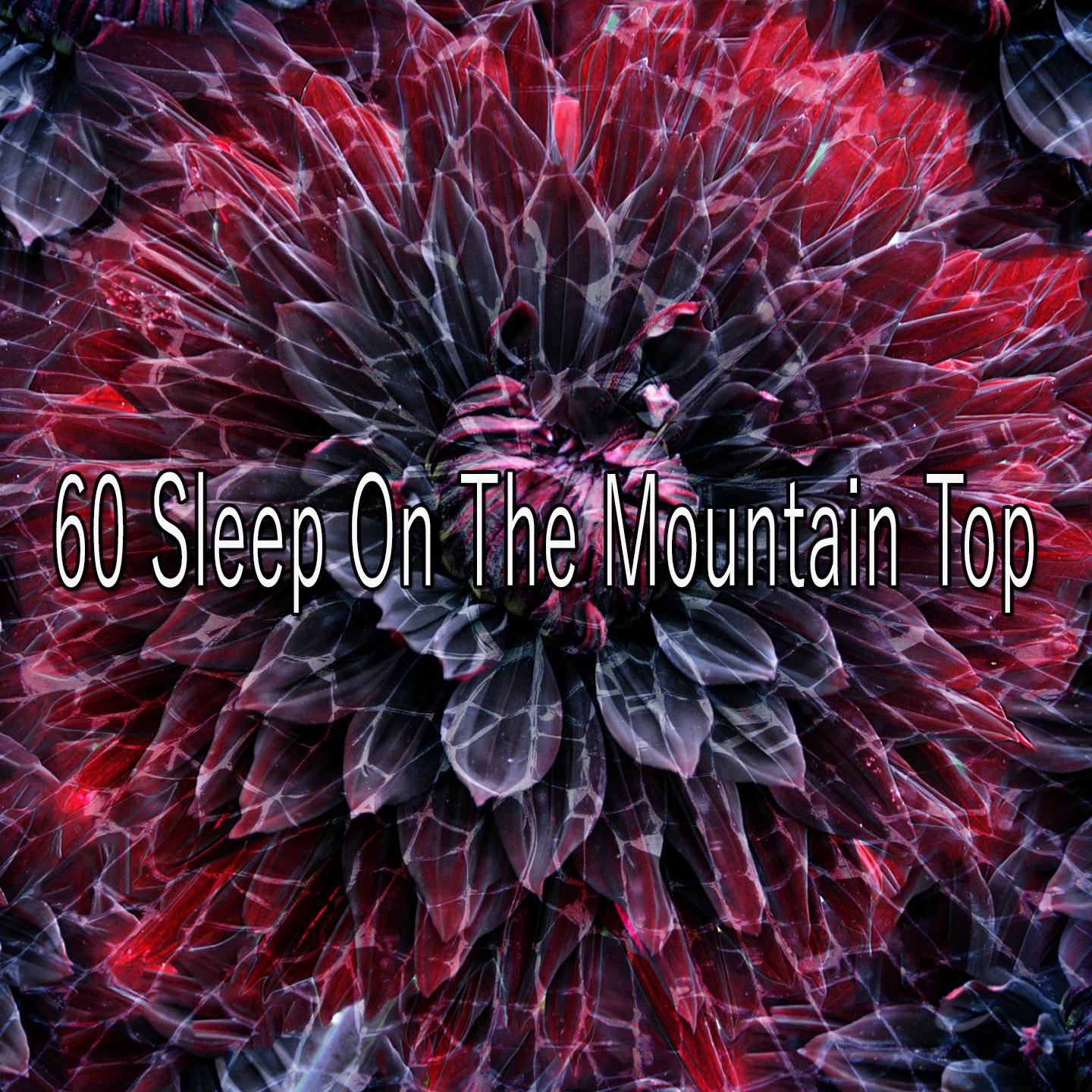 60 Sleep on the Mountain Top