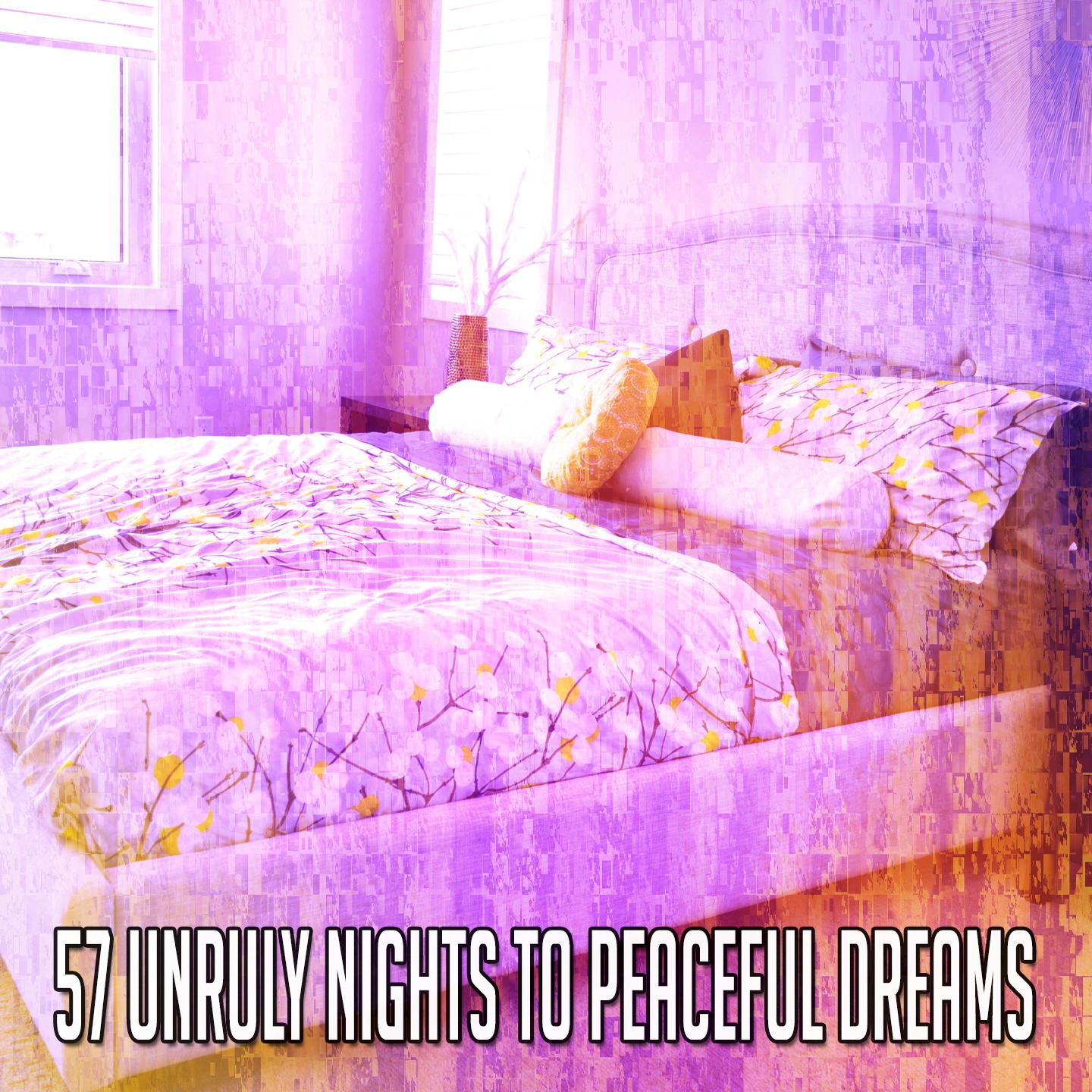 57 Unruly Nights to Peaceful Dreams