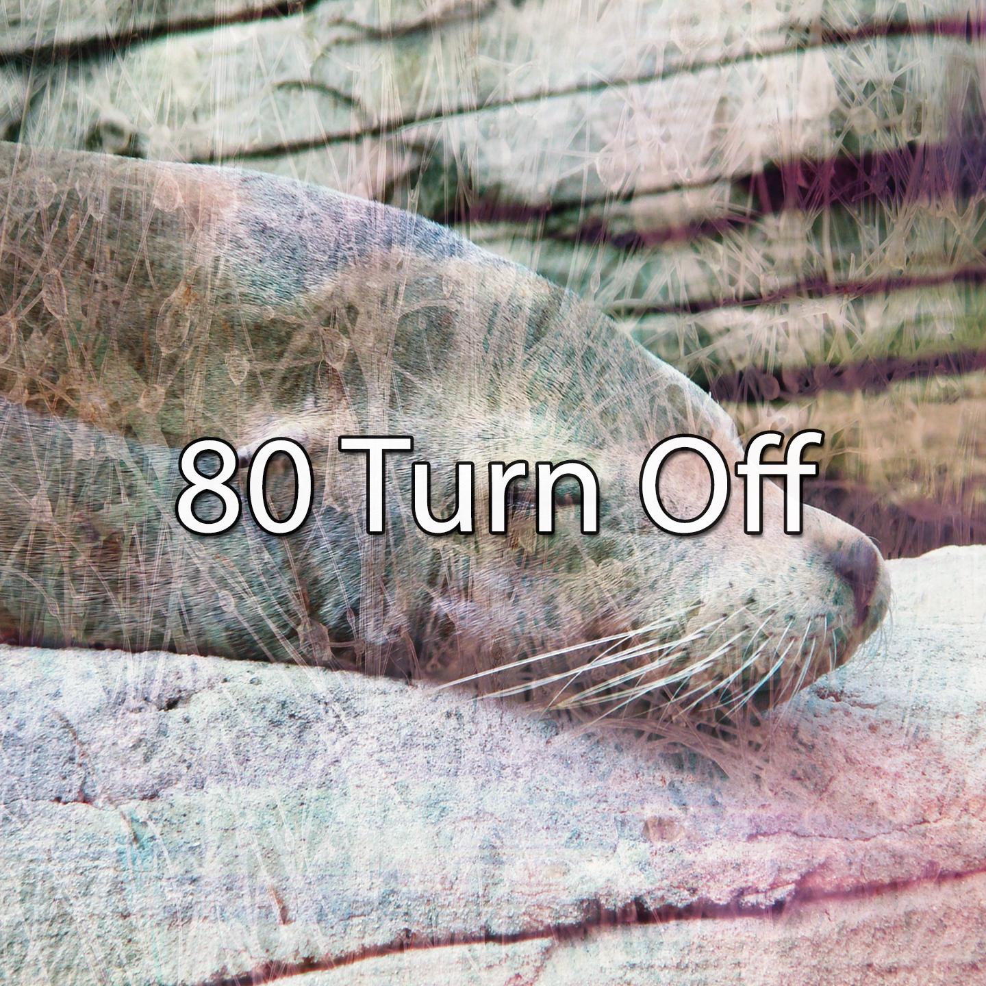 80 Turn Off