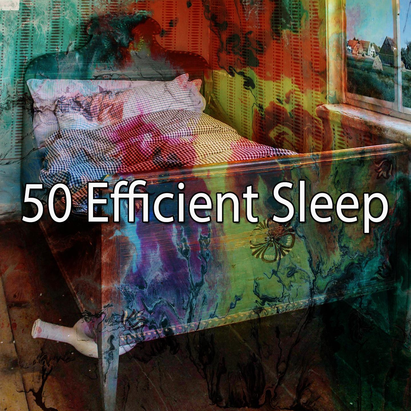 50 Efficient Sleep
