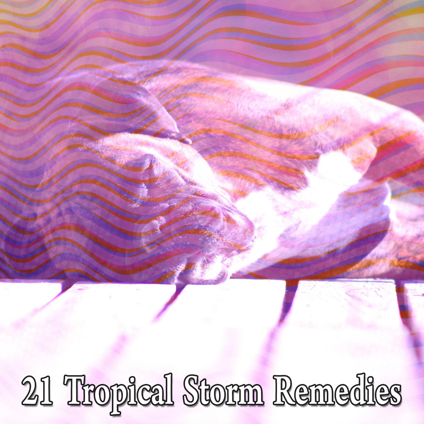 21 Tropical Storm Remedies