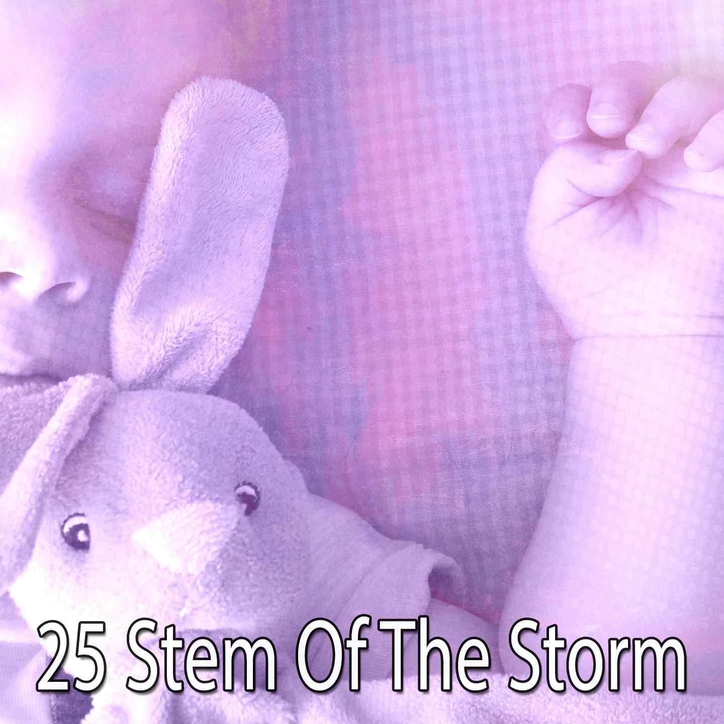 25 Stem of the Storm