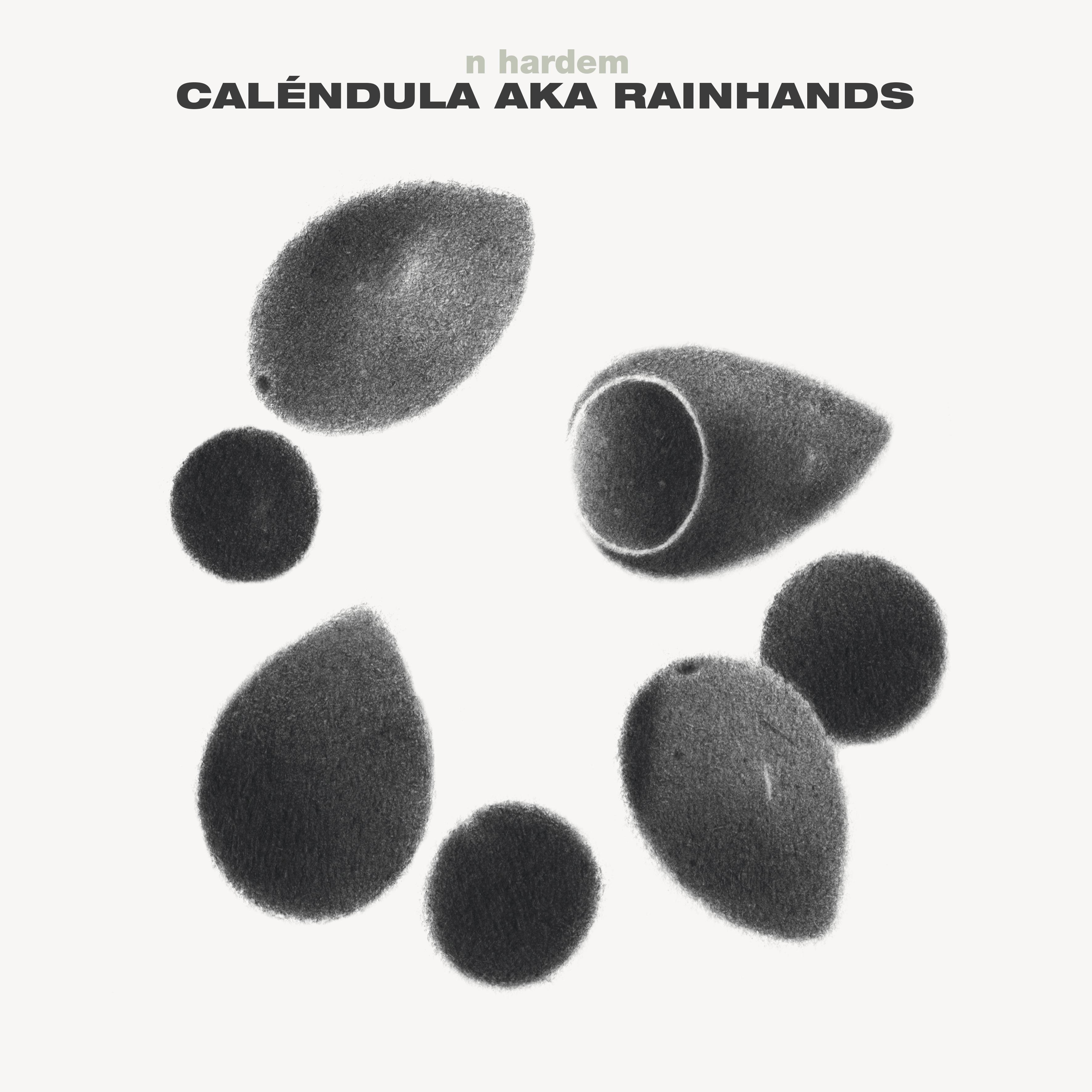 Caléndula Aka Rainhands