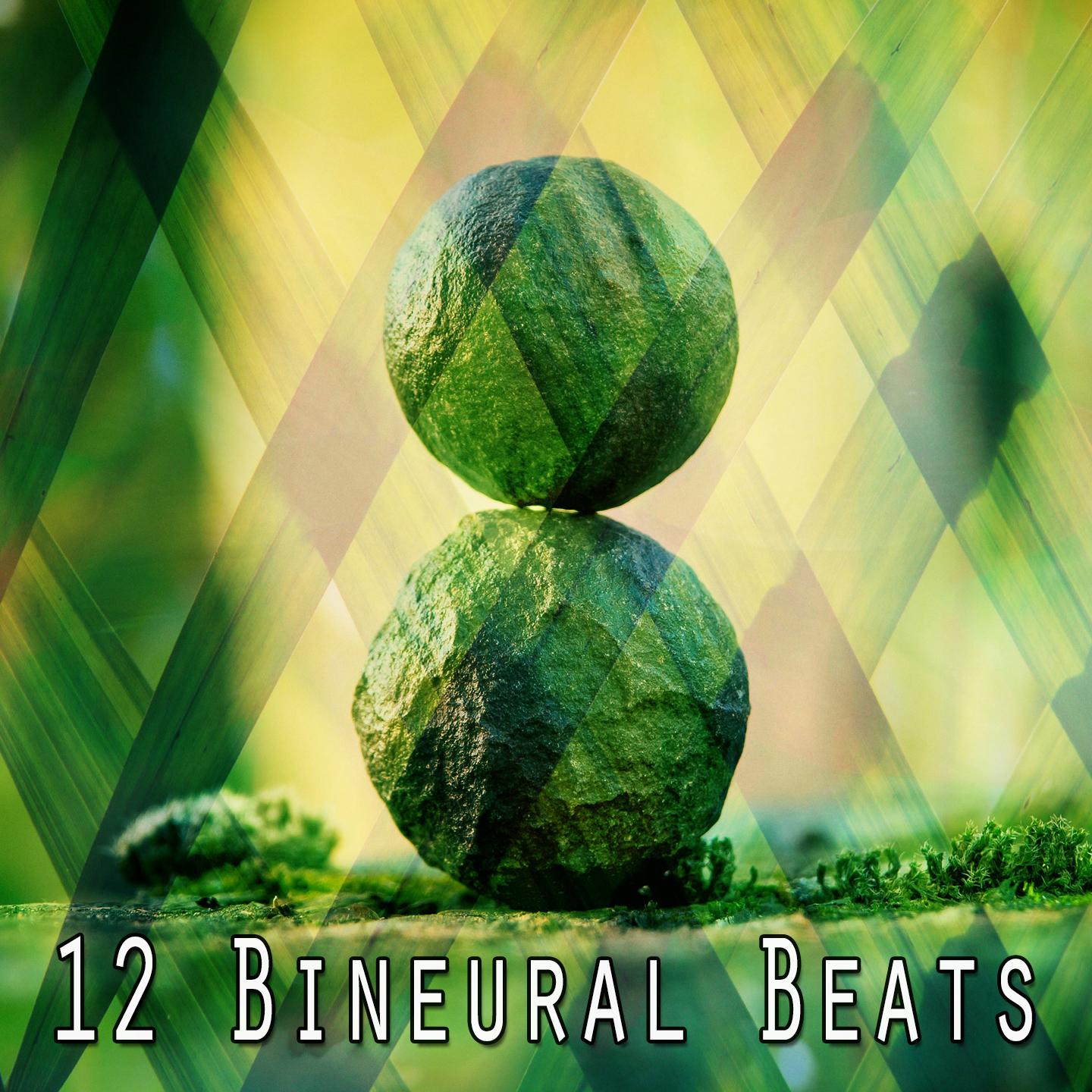 12 Bineural Beats