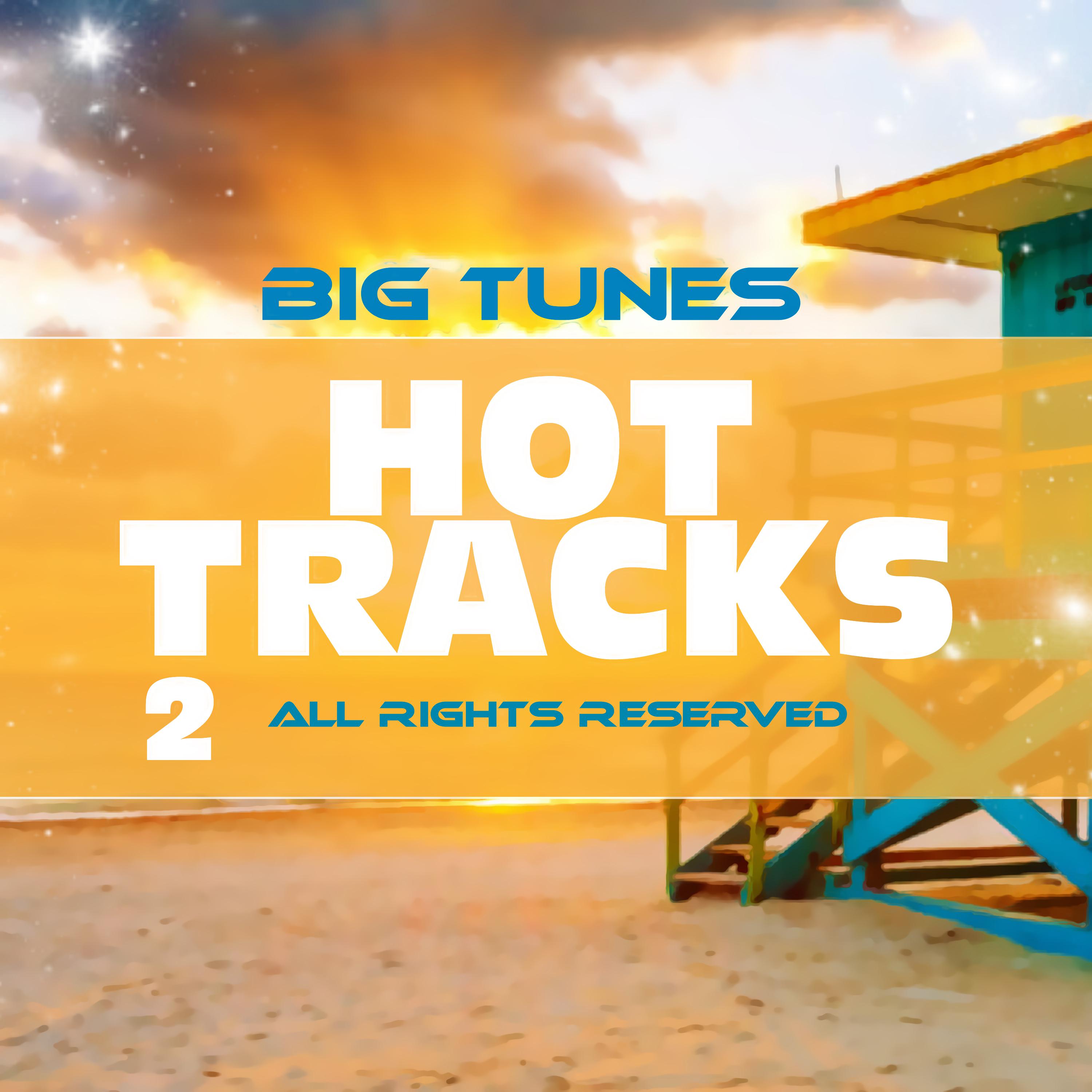 Hot Tracks, Vol.2