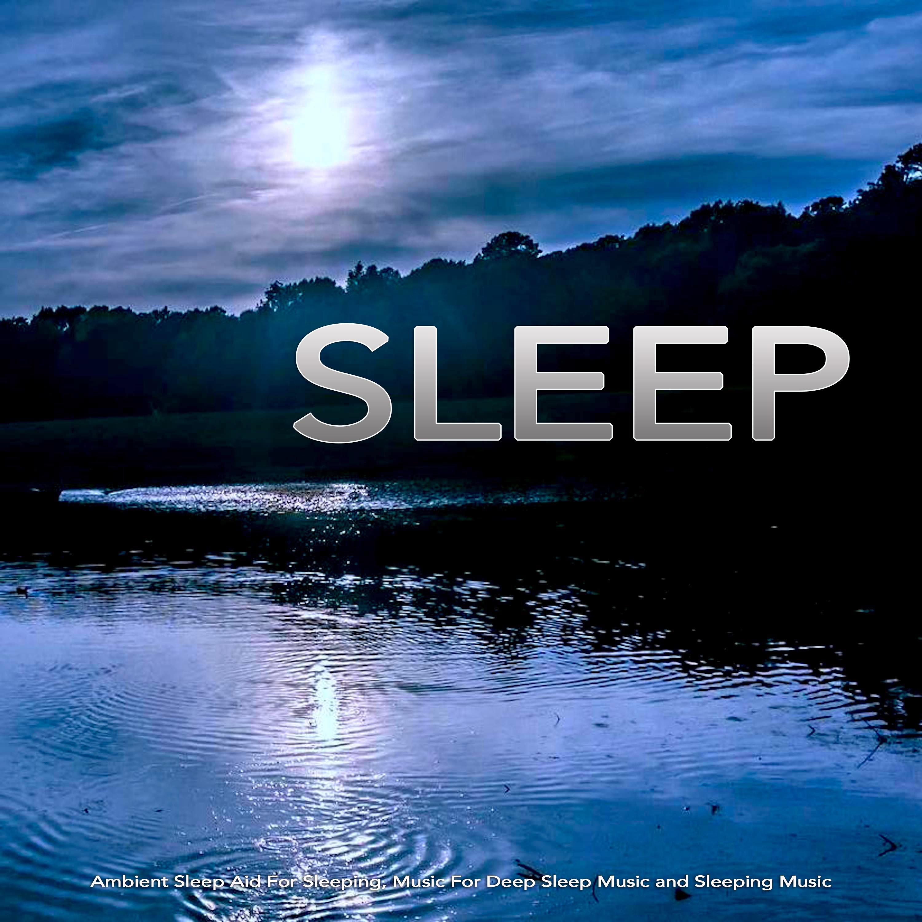 Ambient Sleep Music