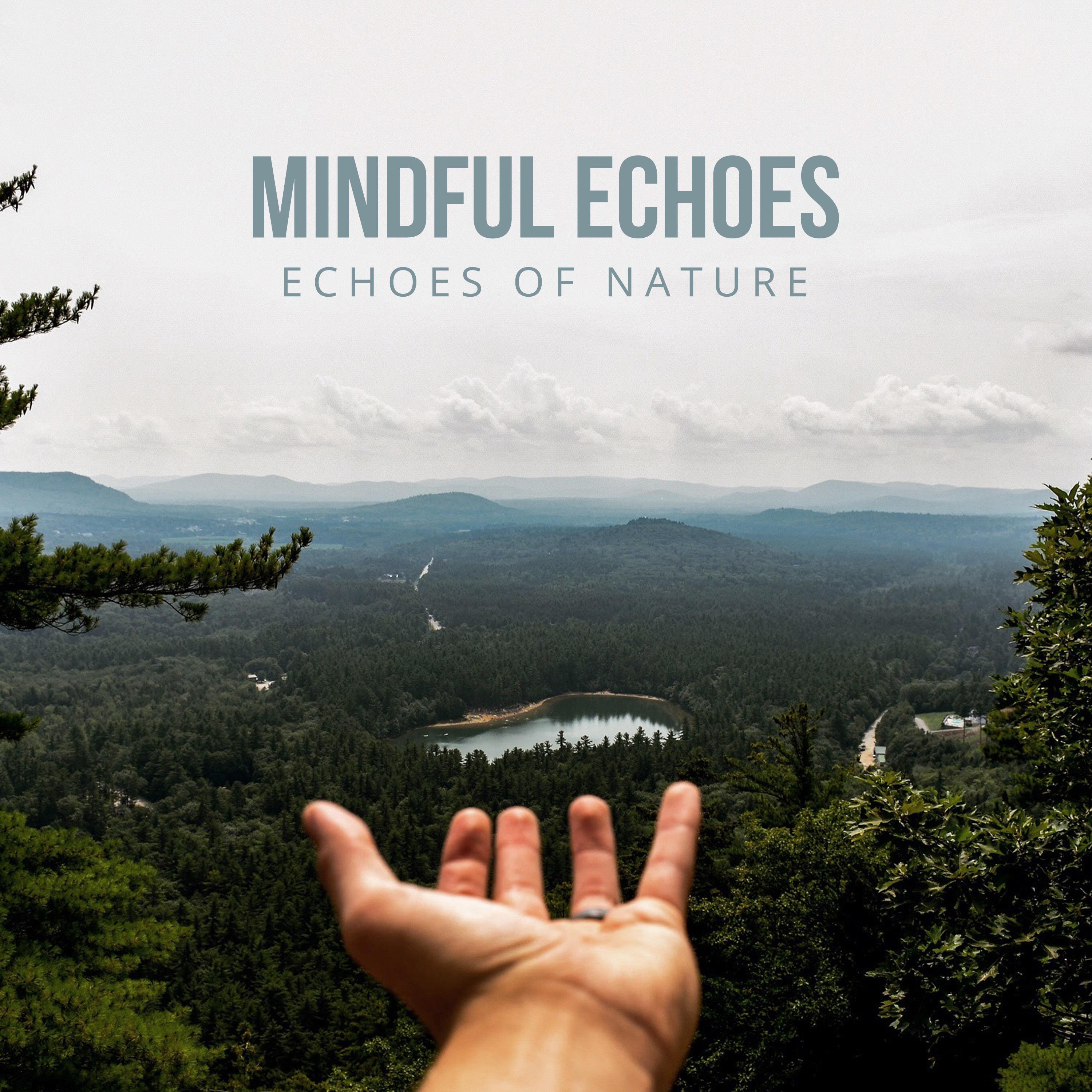 Mindful Echoes