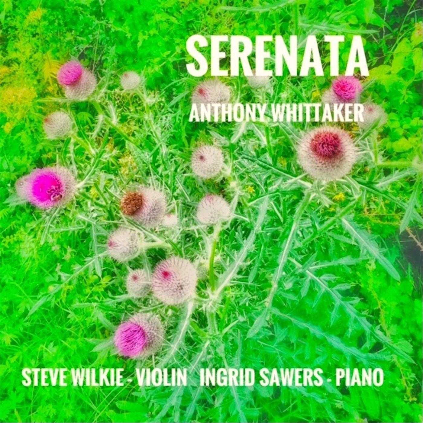 Serenata