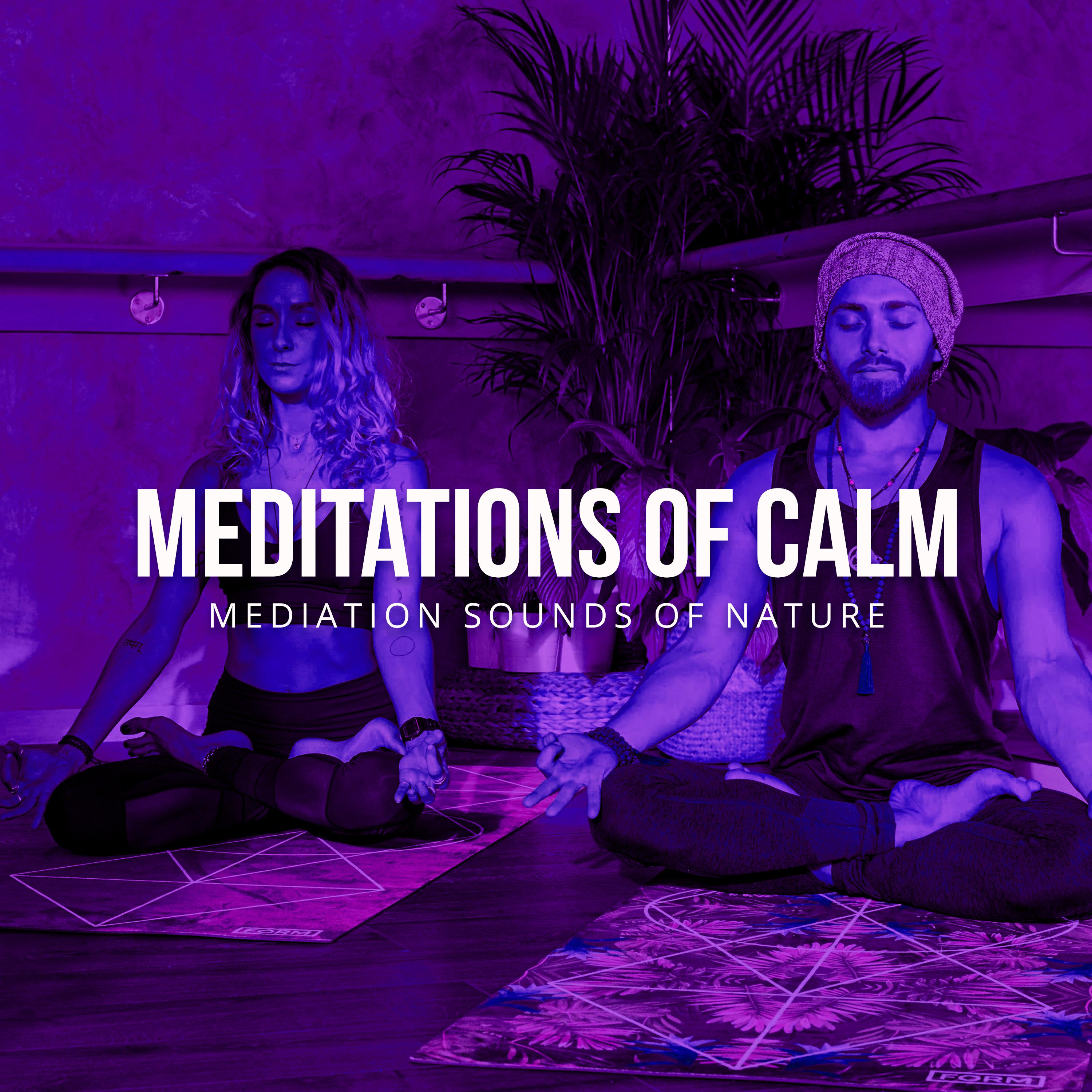 Meditations of Calm