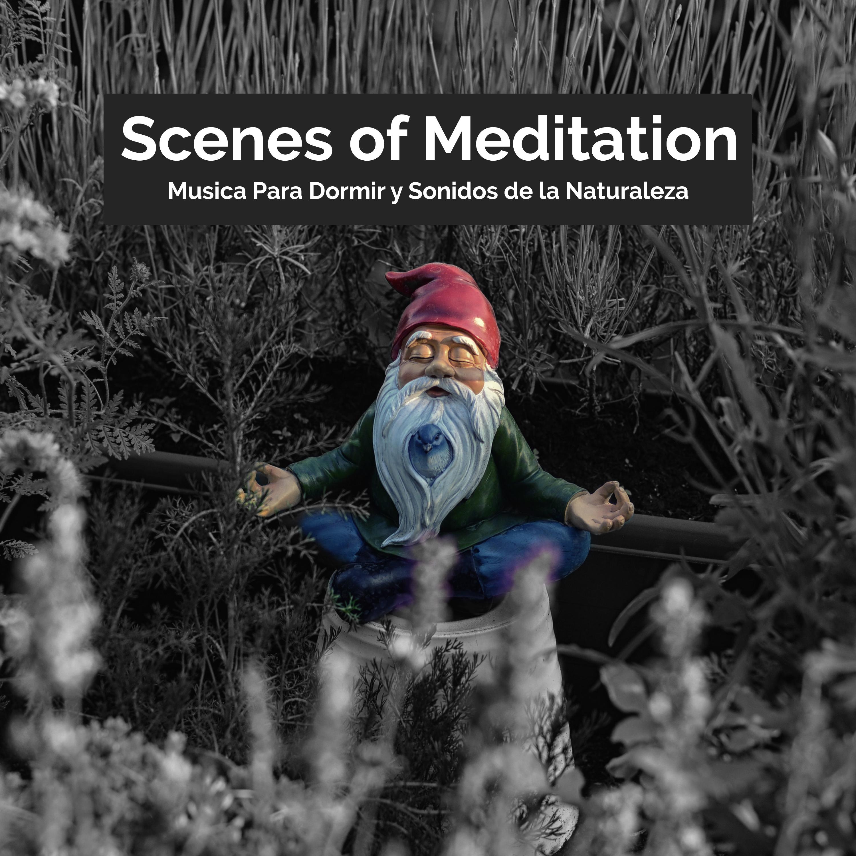 Scenes of Meditation