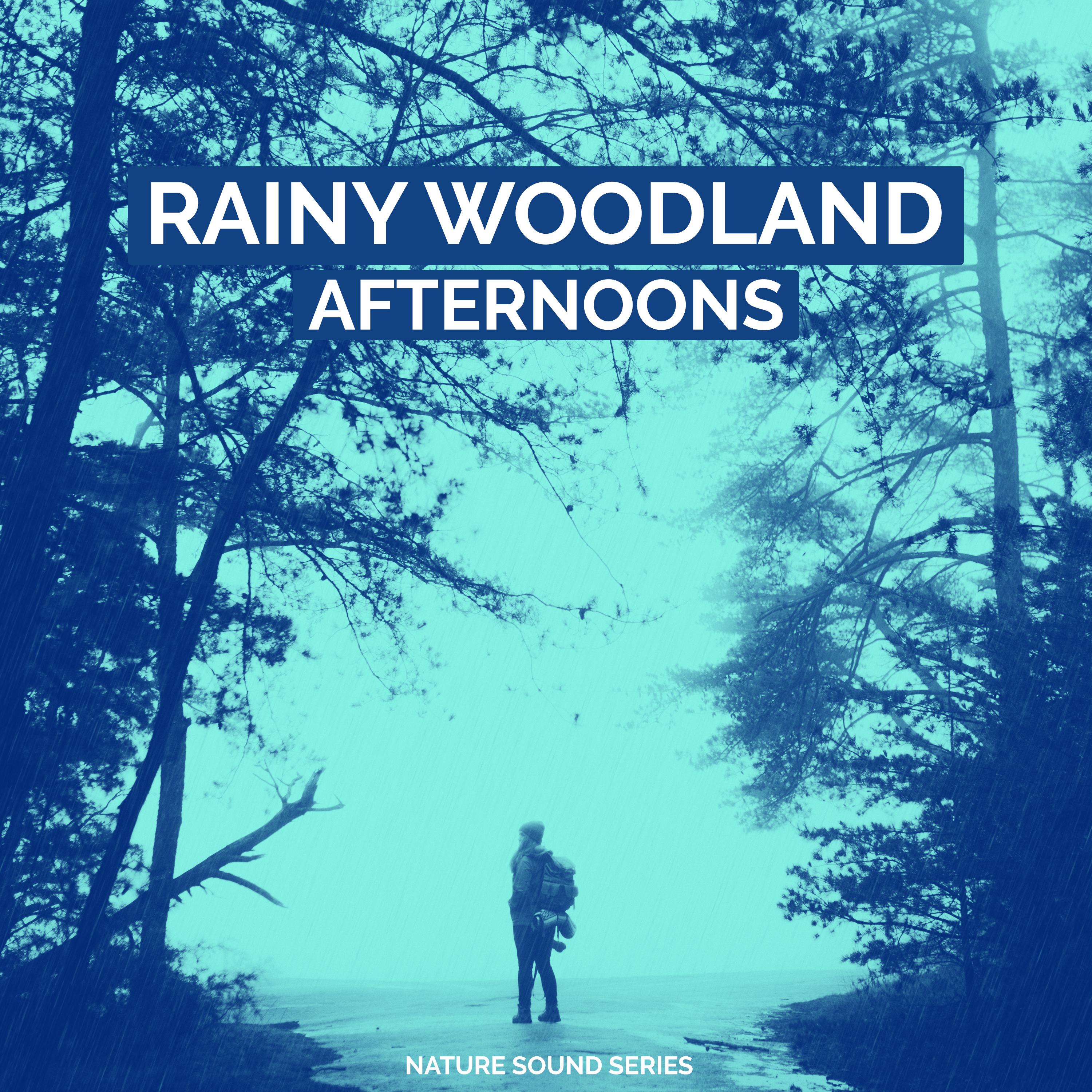 Rainy Woodland Afternoons