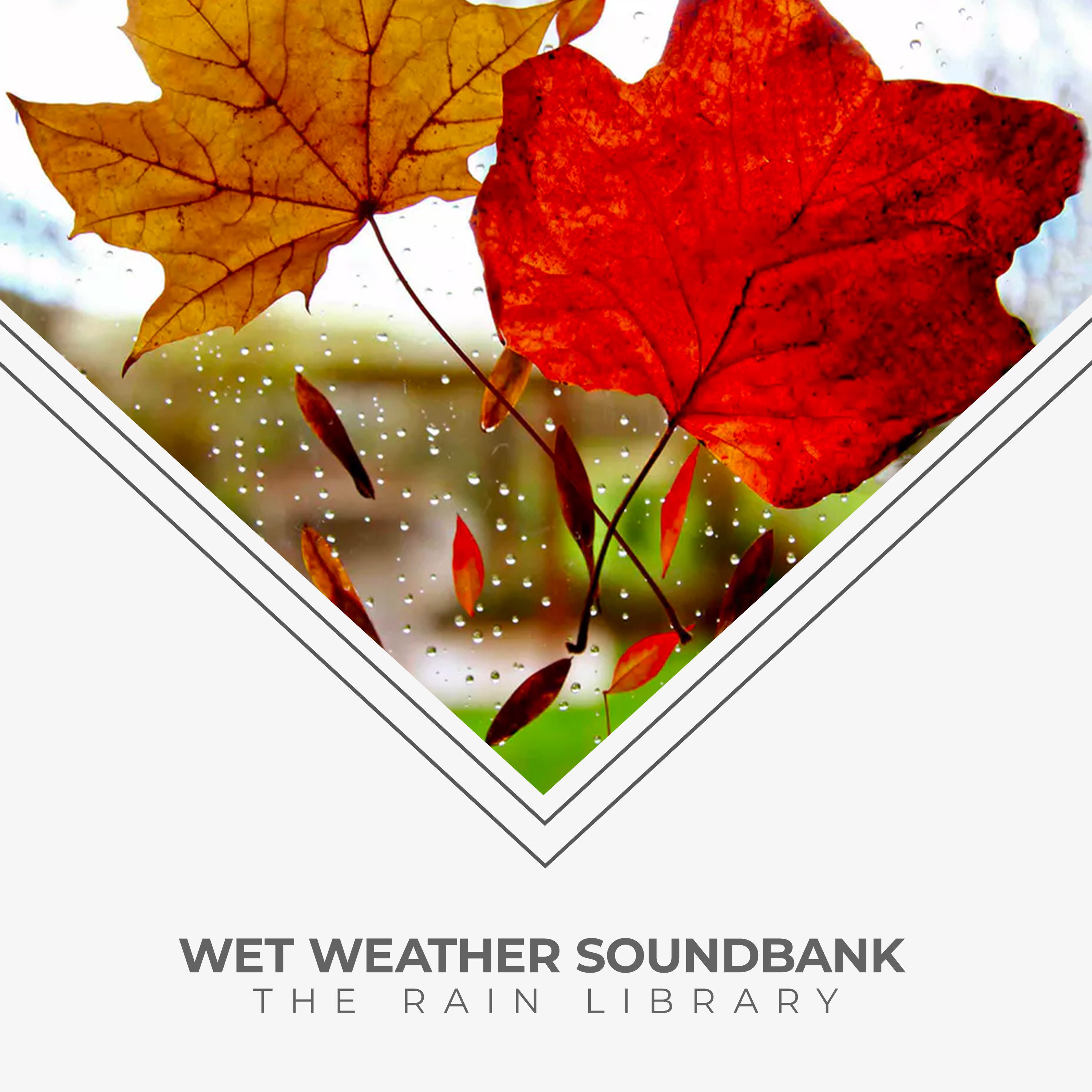 Wet Weather Soundbank