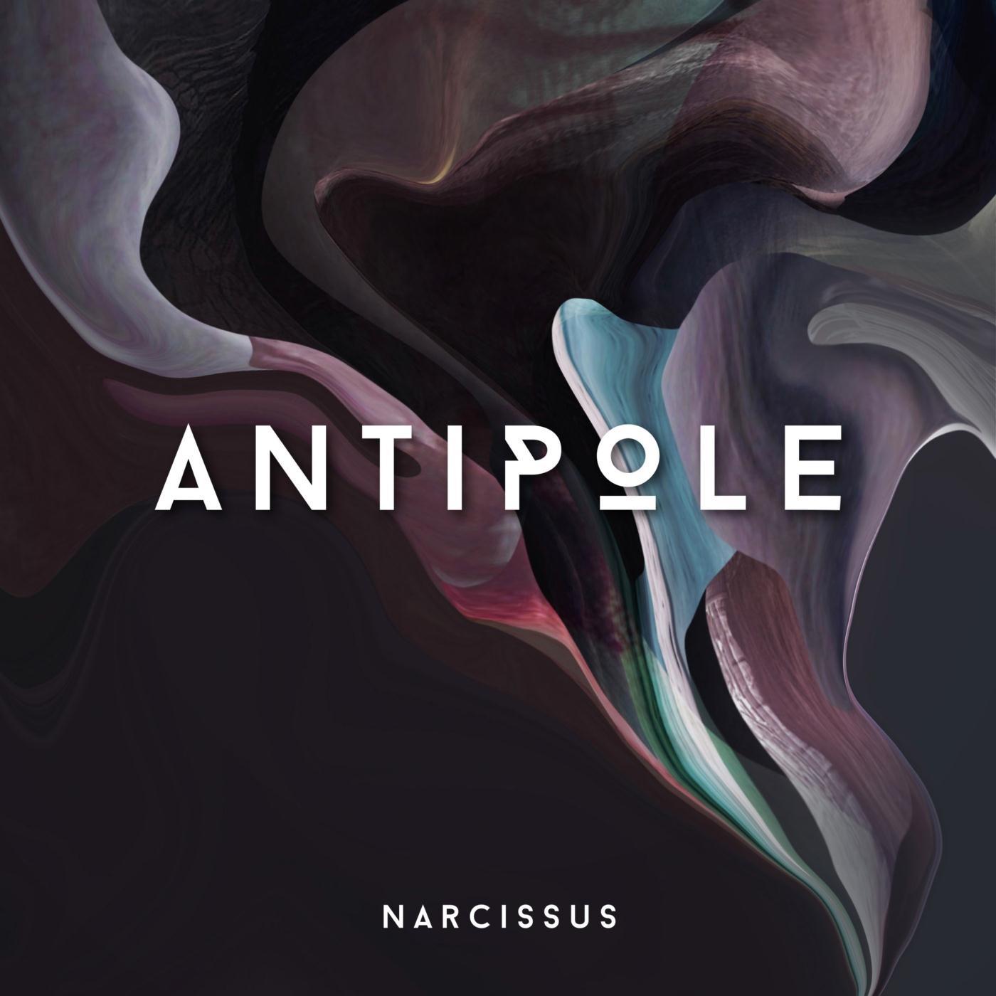 Narcissus