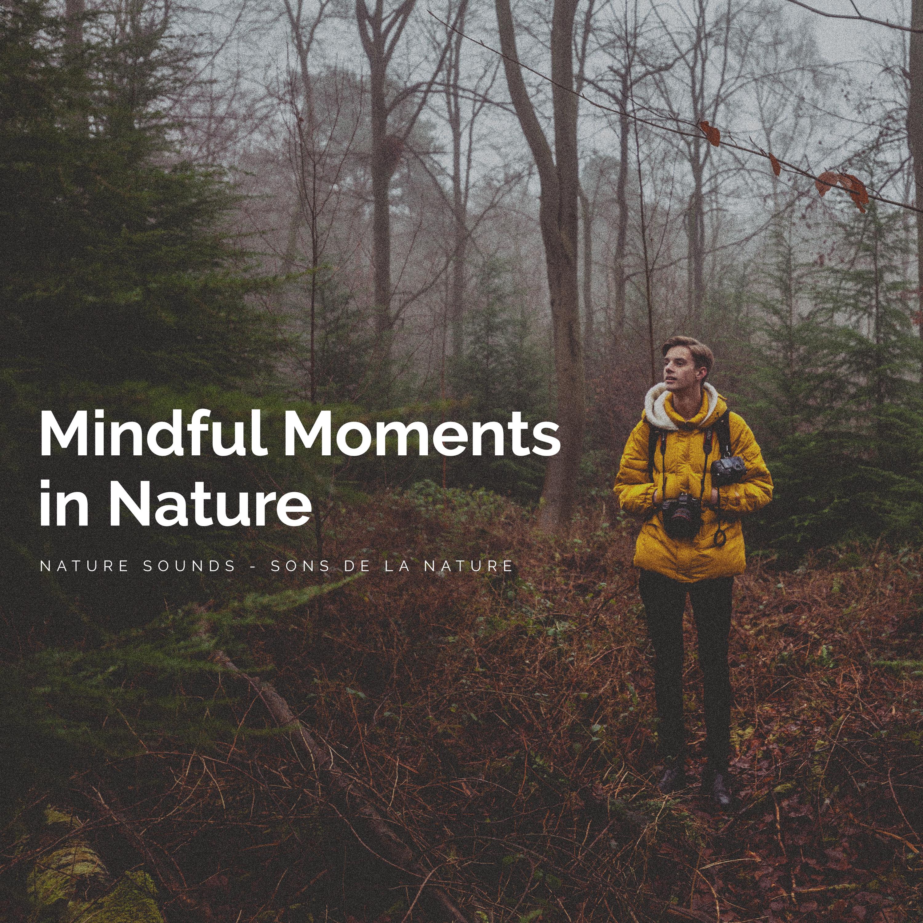 Mindful Moments in Nature