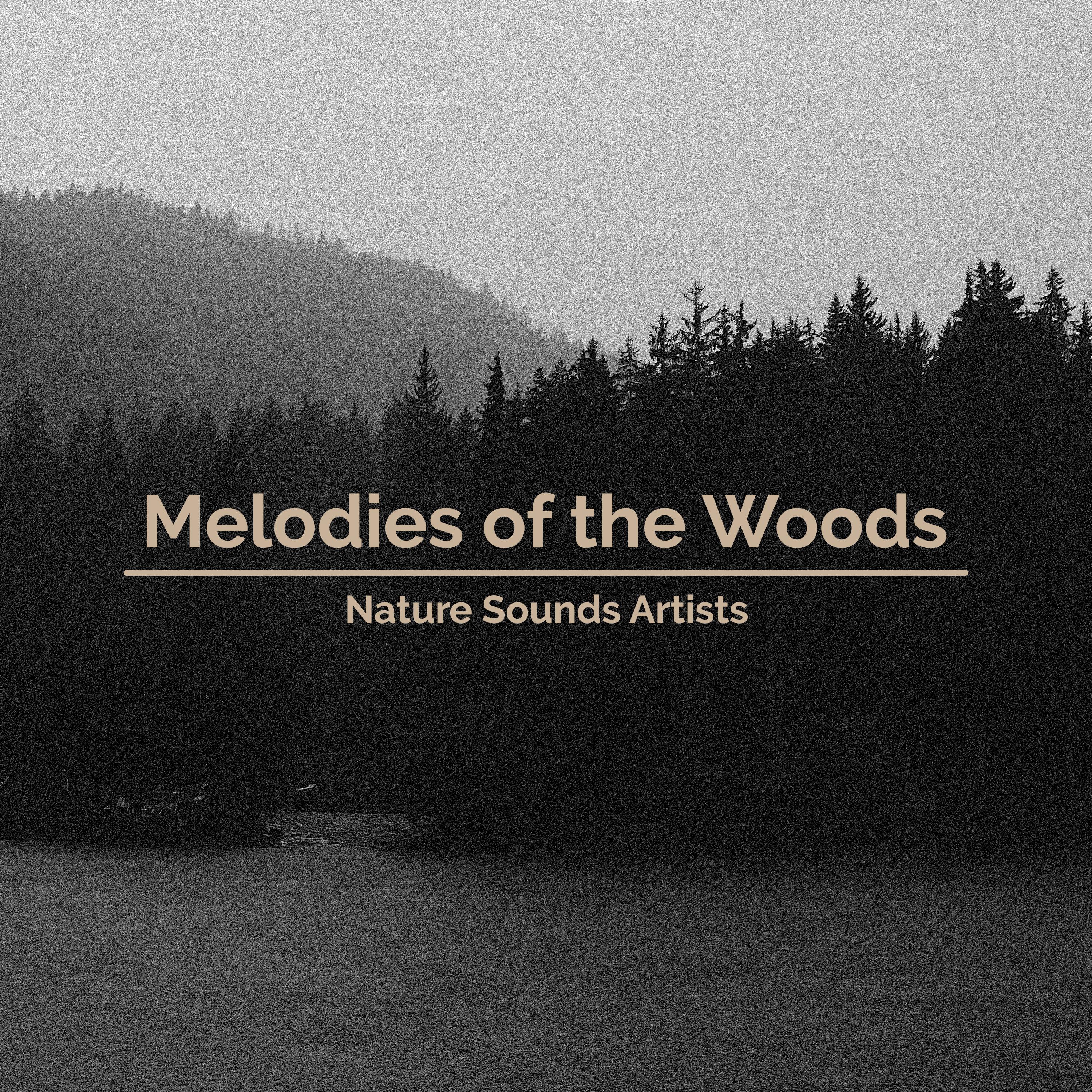 Melodies of the Woods
