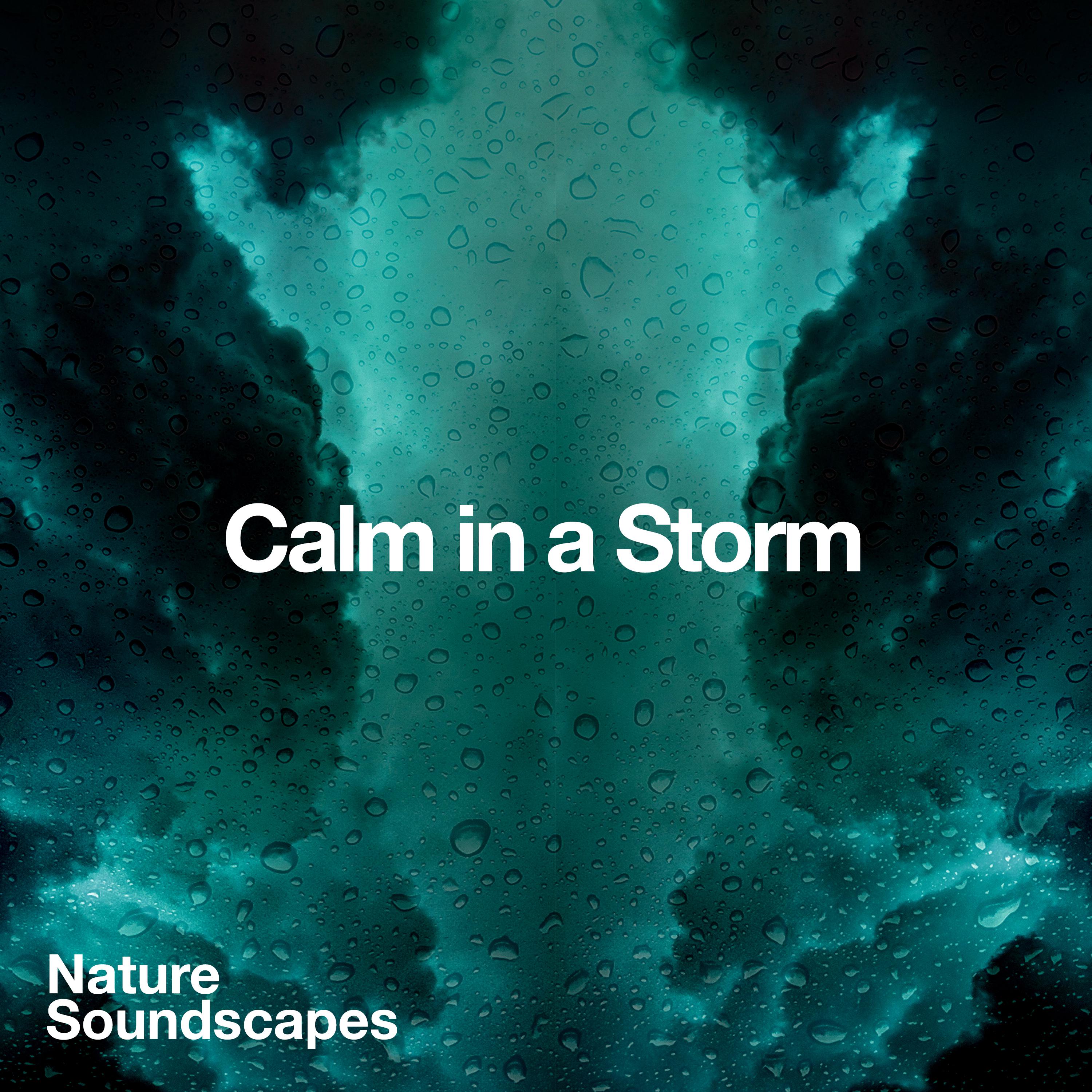 Calm in a Storm