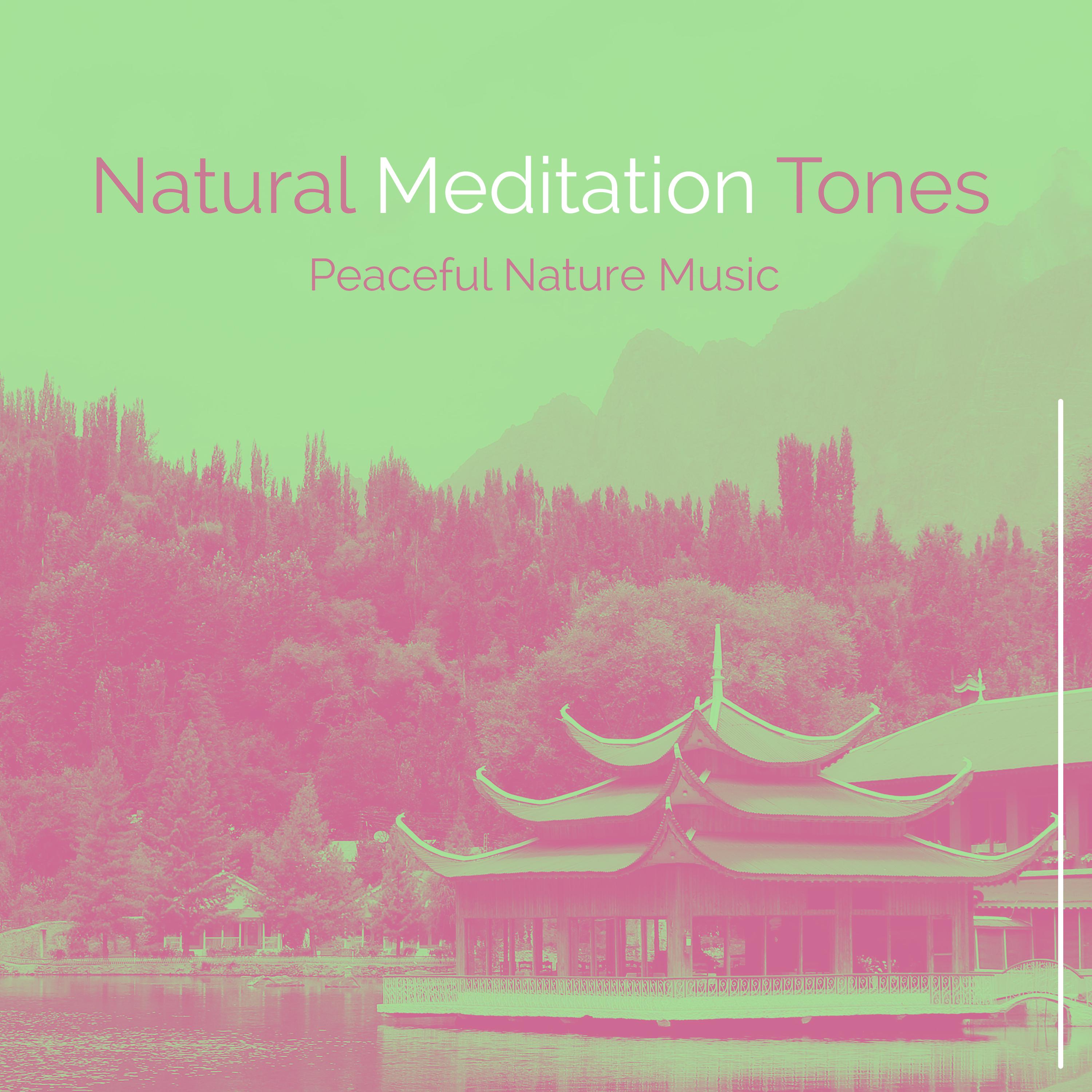 Natural Meditation Tones