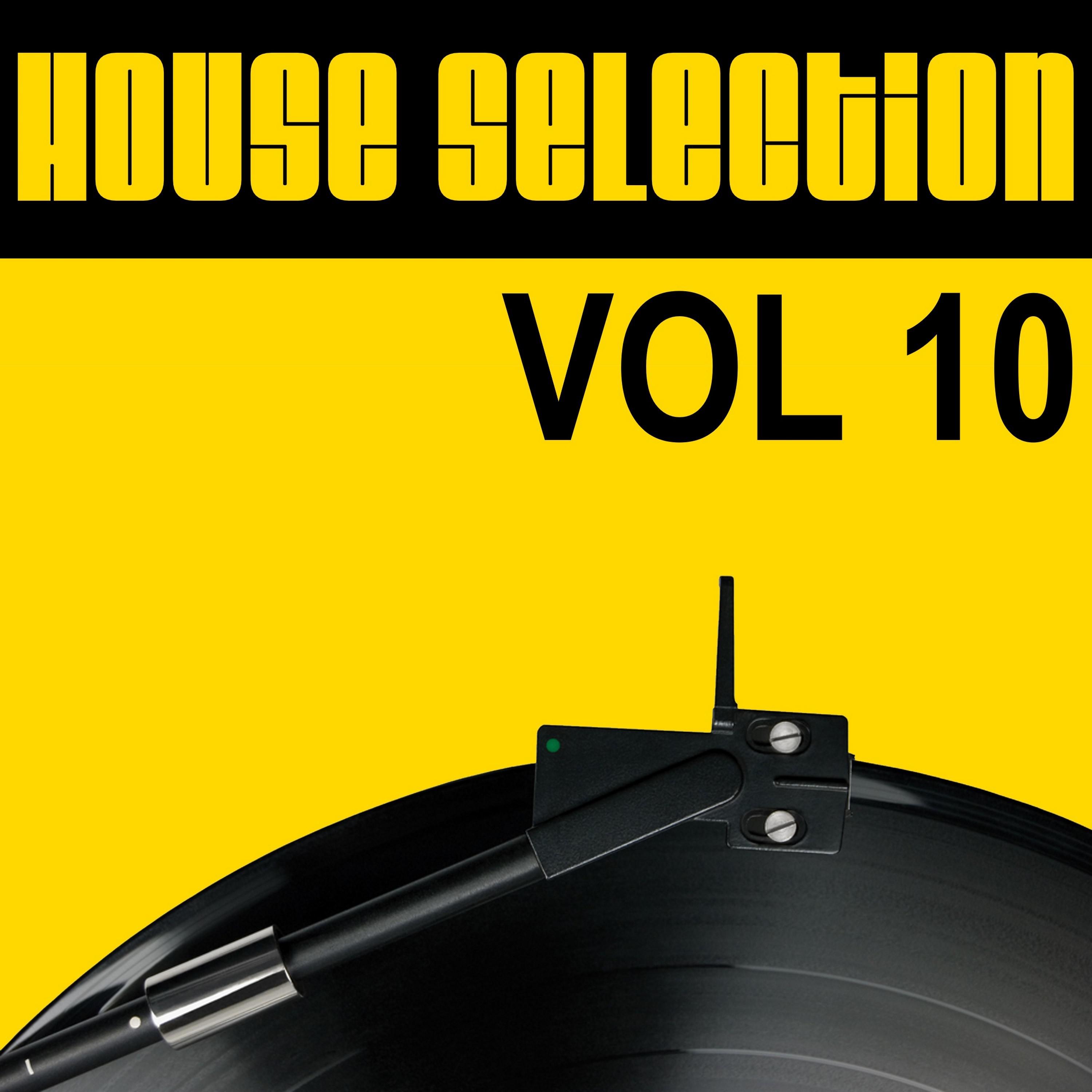 House Selection, Vol. 10