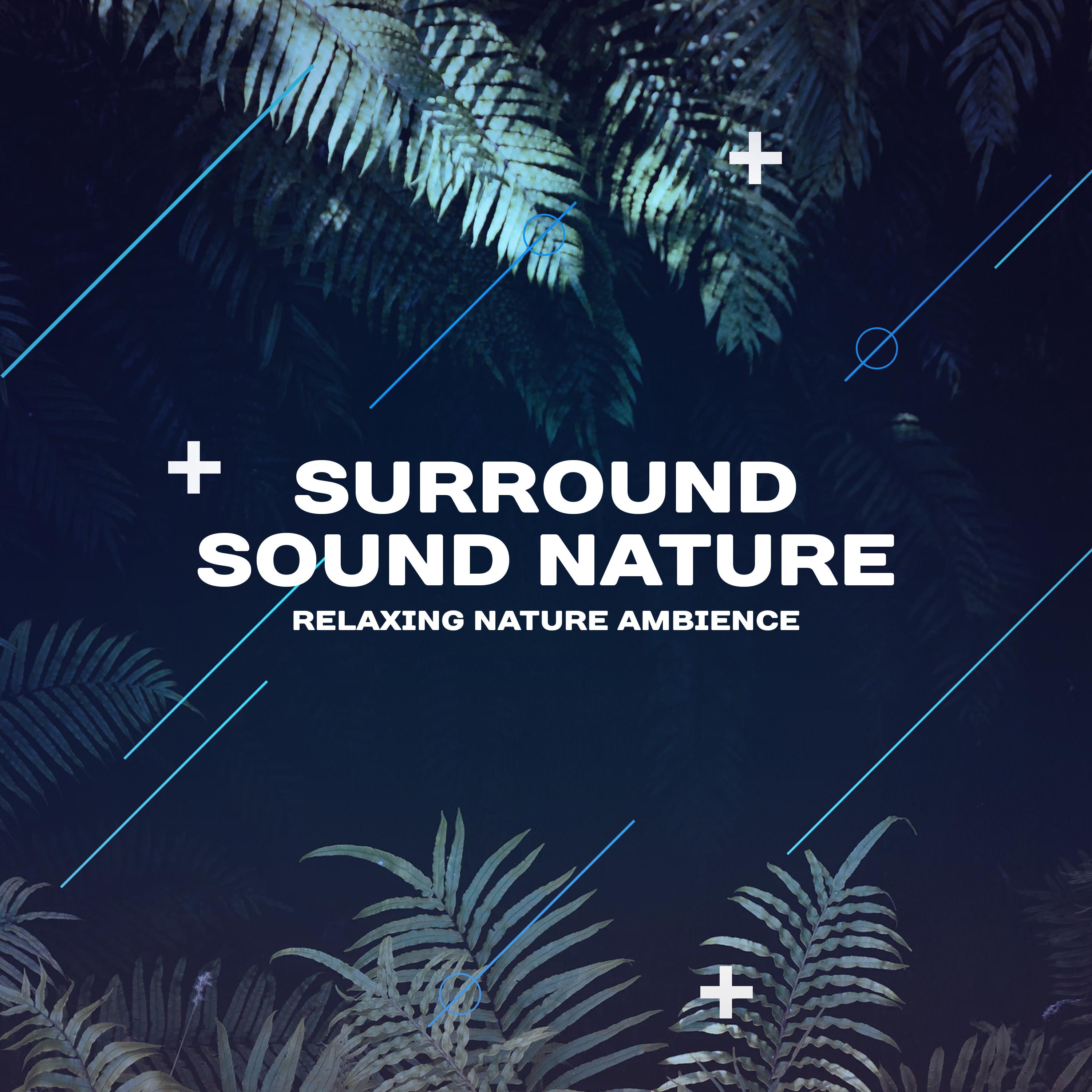 Surround Sound Nature