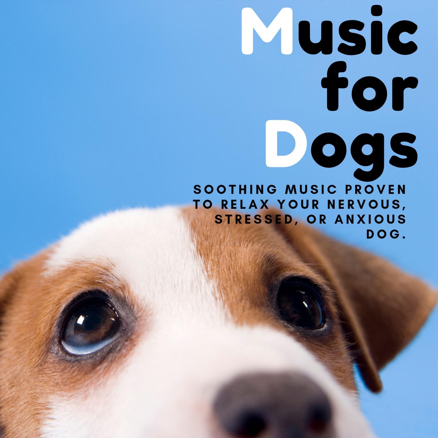 Music for Dogs - Soothing Music Proven to Relax Your Nervous, Stressed, or Anxious Dog.