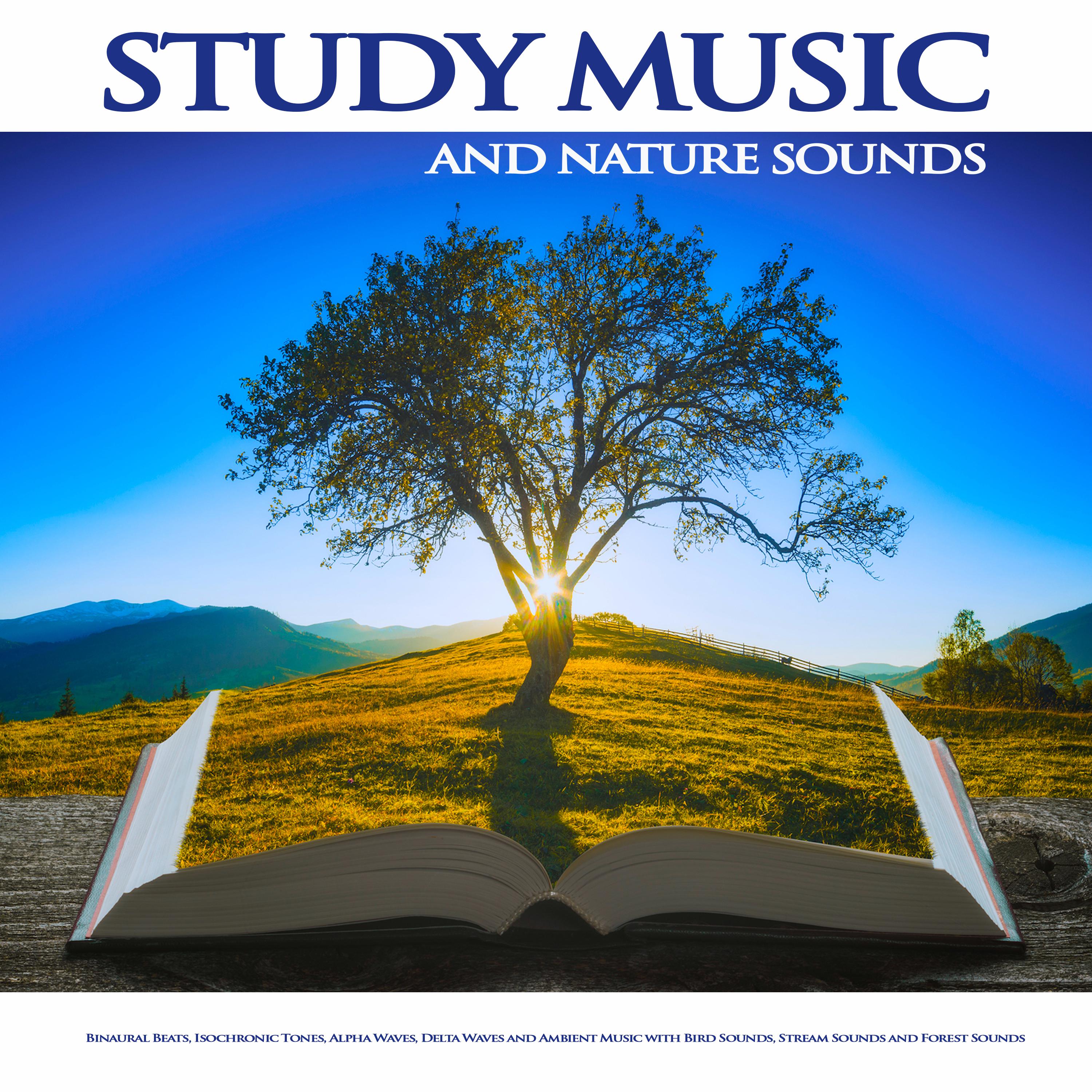 Study Music and Nature Sounds: Binaural Beats, Isochronic Tones, Alpha Waves, Delta Waves and Ambient Music with Bird Sounds, Stream Sounds and Forest Sounds