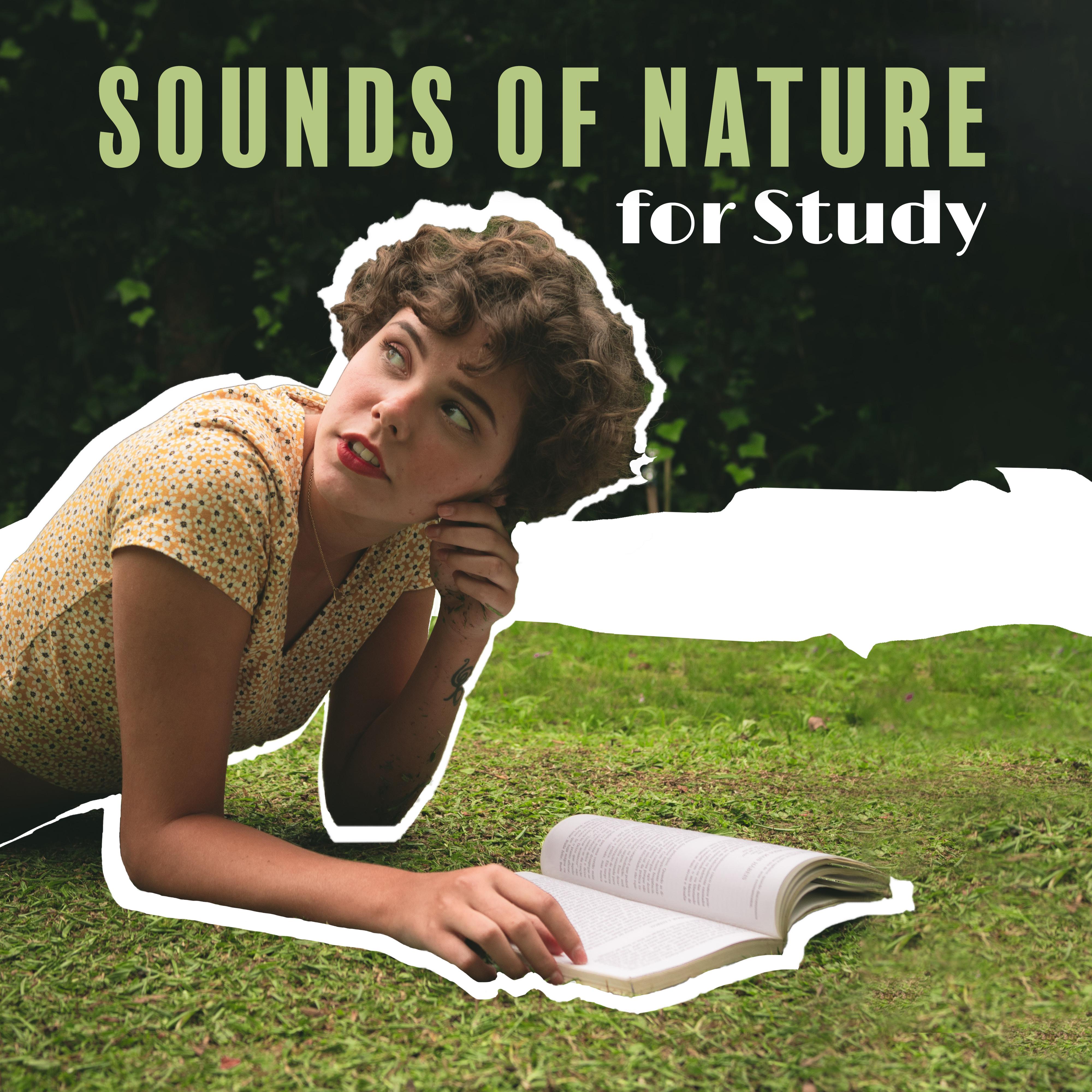 Sounds of Nature for Study – Music for Mind, Deep Concentration, Reduce Stress, Calm Down, Deeper Focus, Brain Power