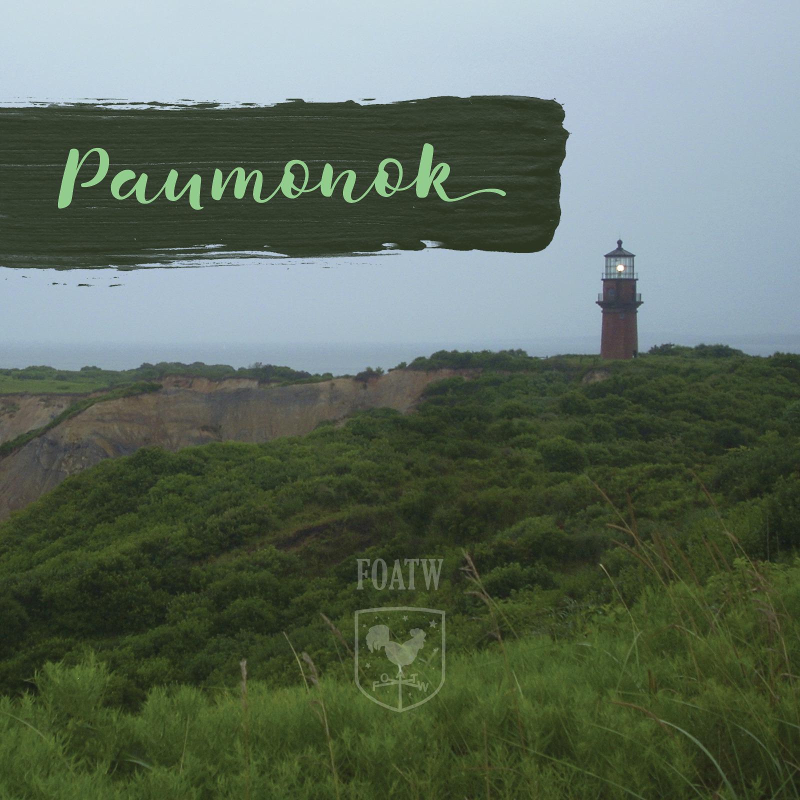 Paumonok (Single)